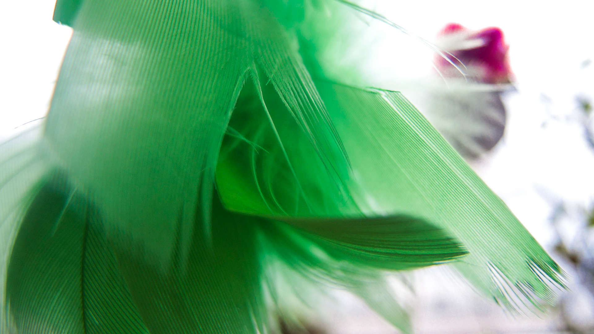 Feathering shapes 6
