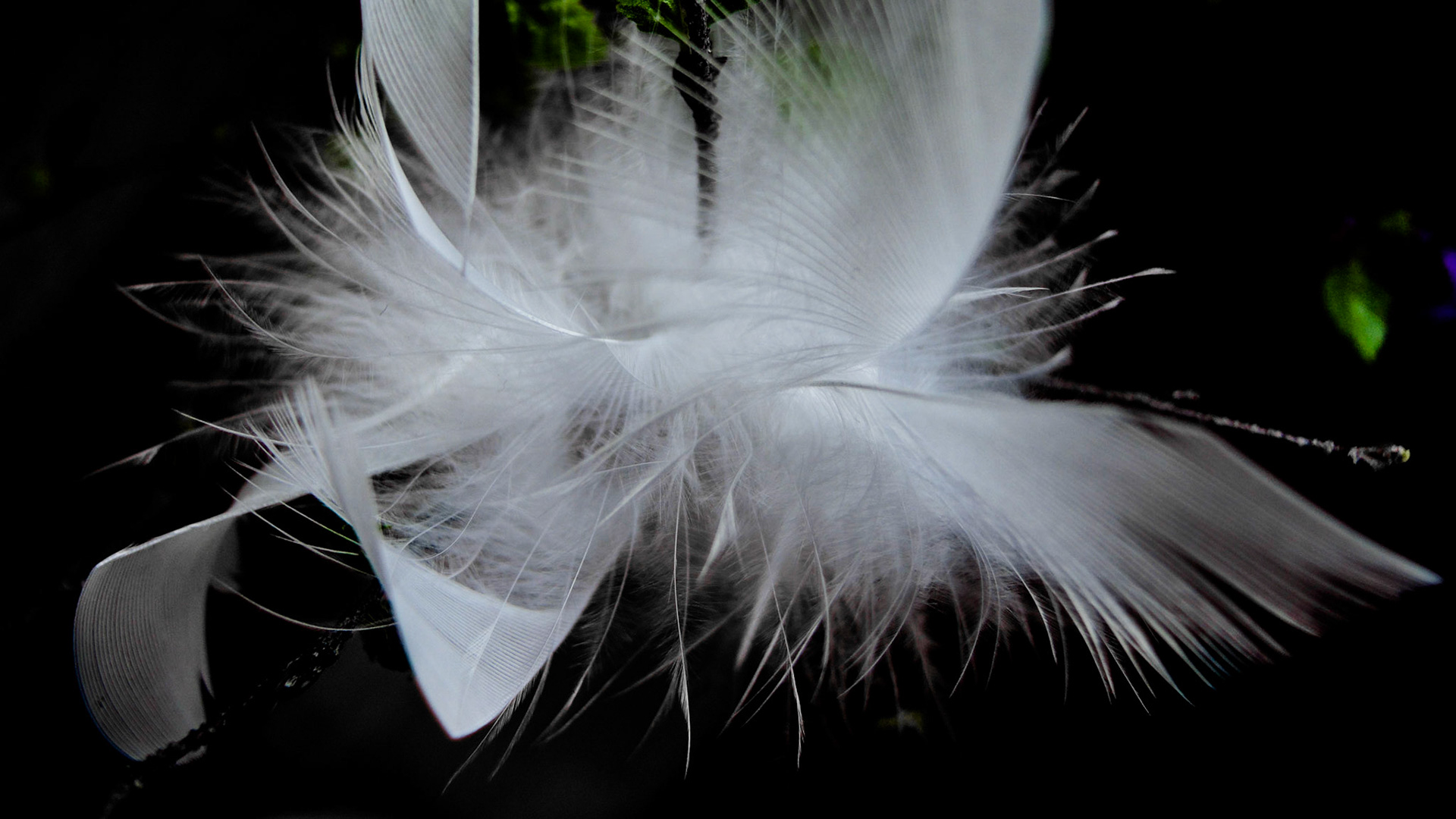 Feathering shapes 4