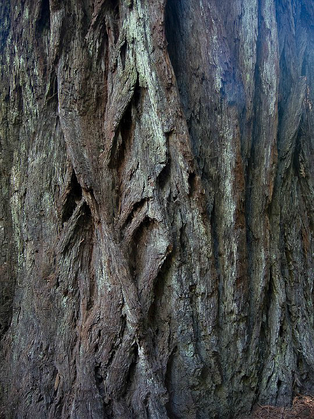 US 2013 Nature-4940