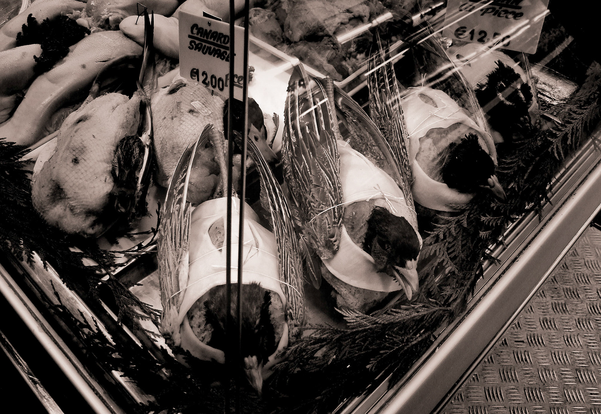 Paris DSCF9558-Edit (2)