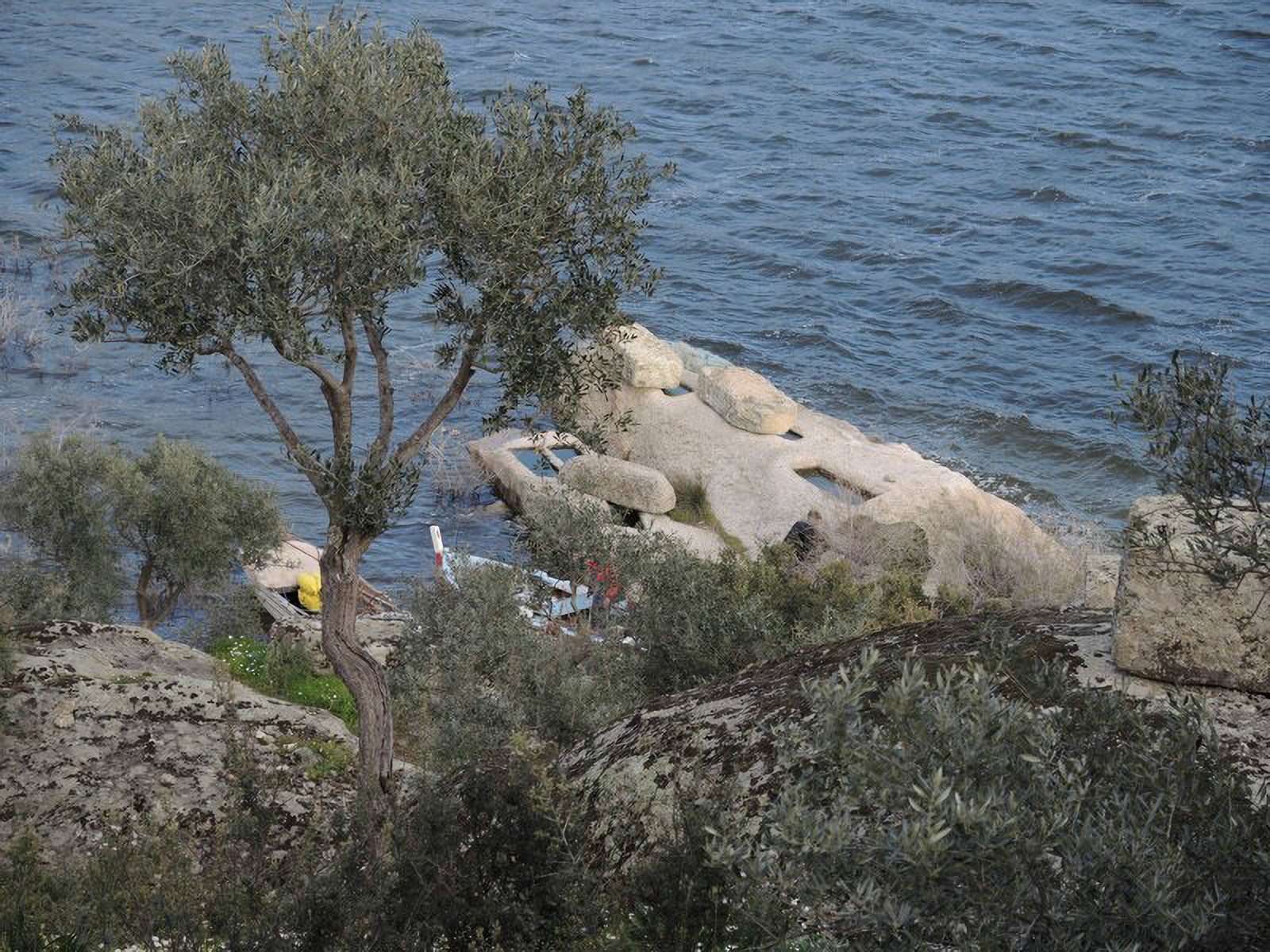 10201053486358516