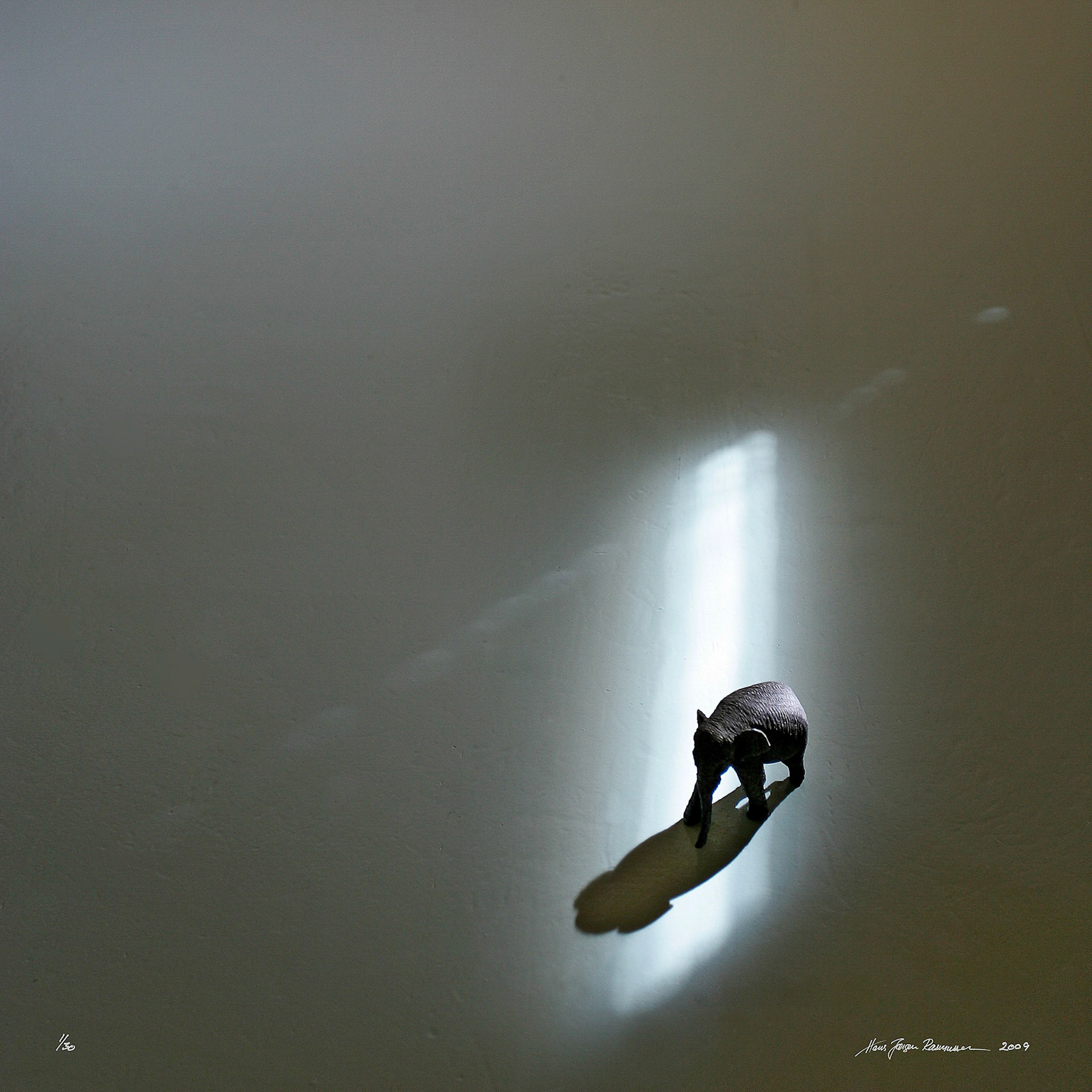 07 Visdommens lys-13