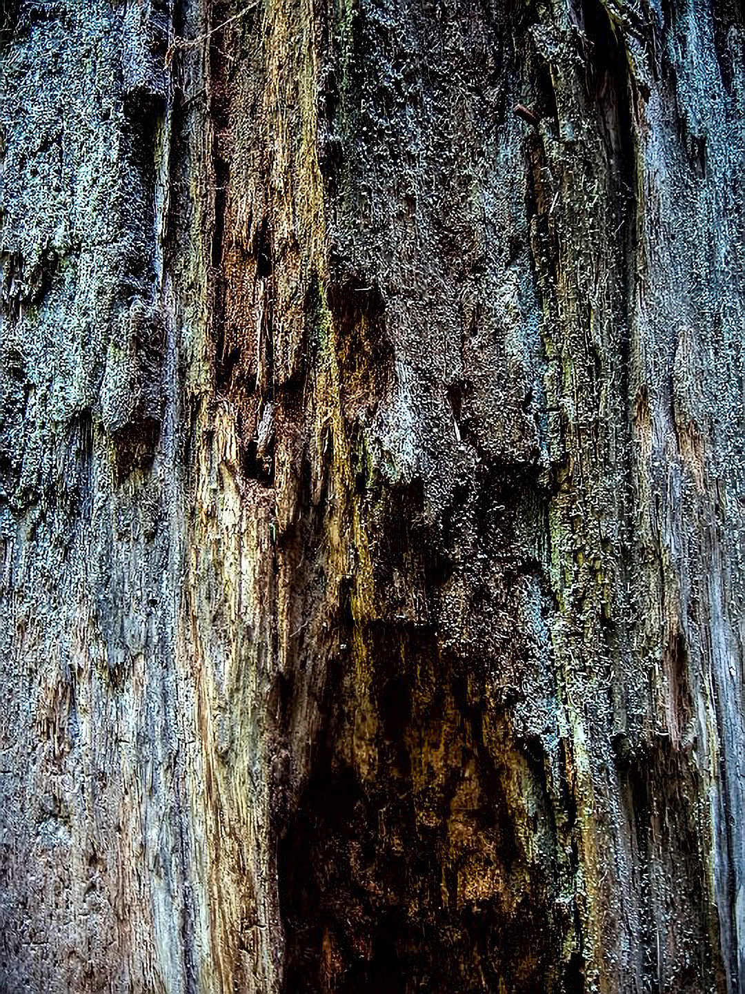 US 2013 Nature--17