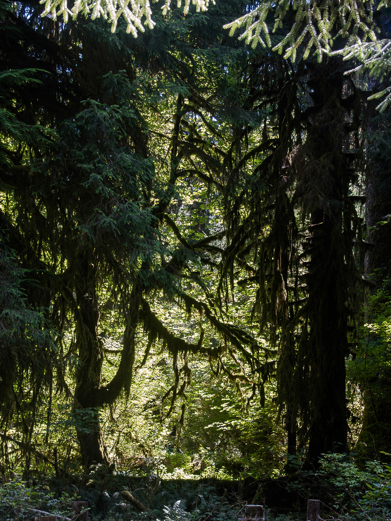 US 2013 Nature--14