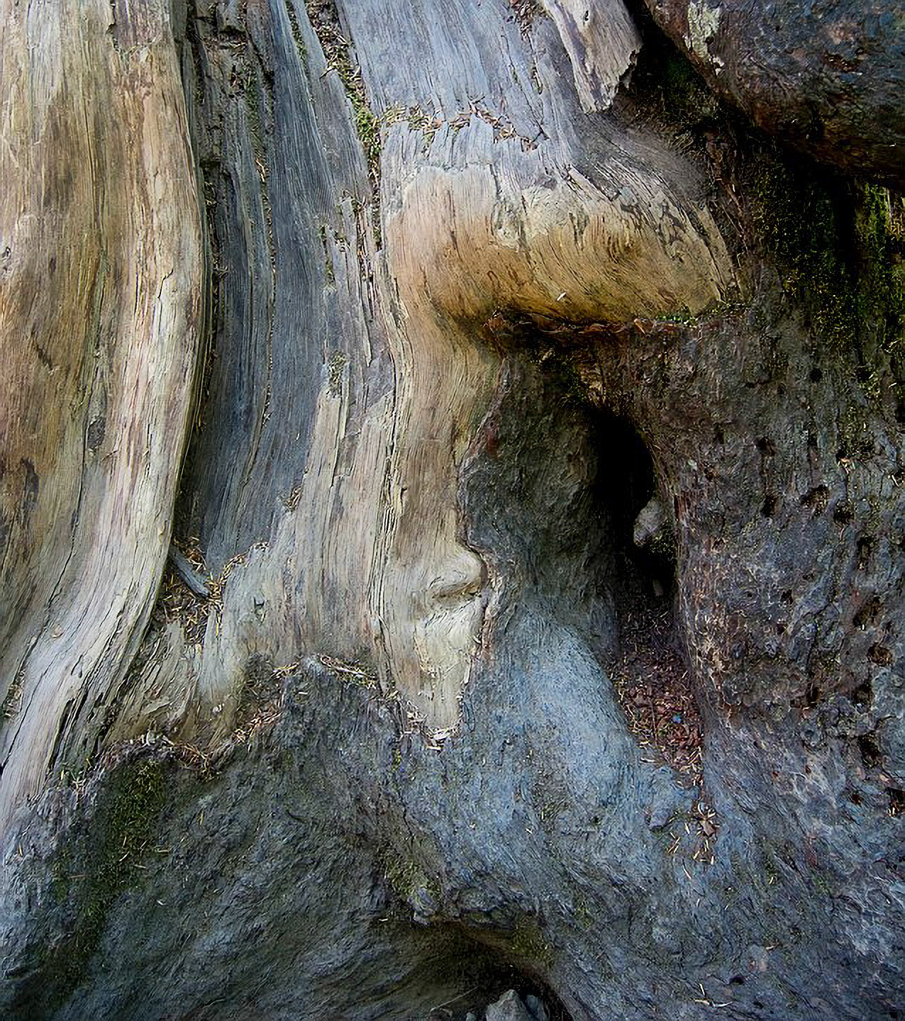 US 2013 Nature-4093
