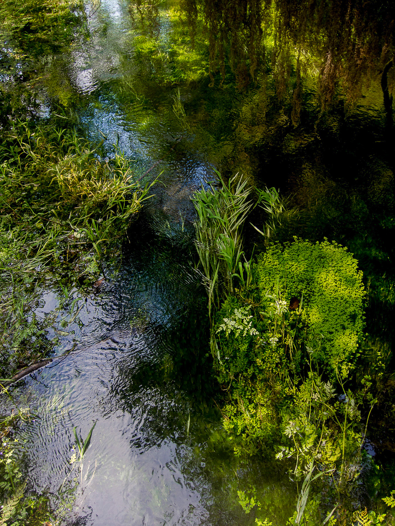 US 2013 Nature-4011