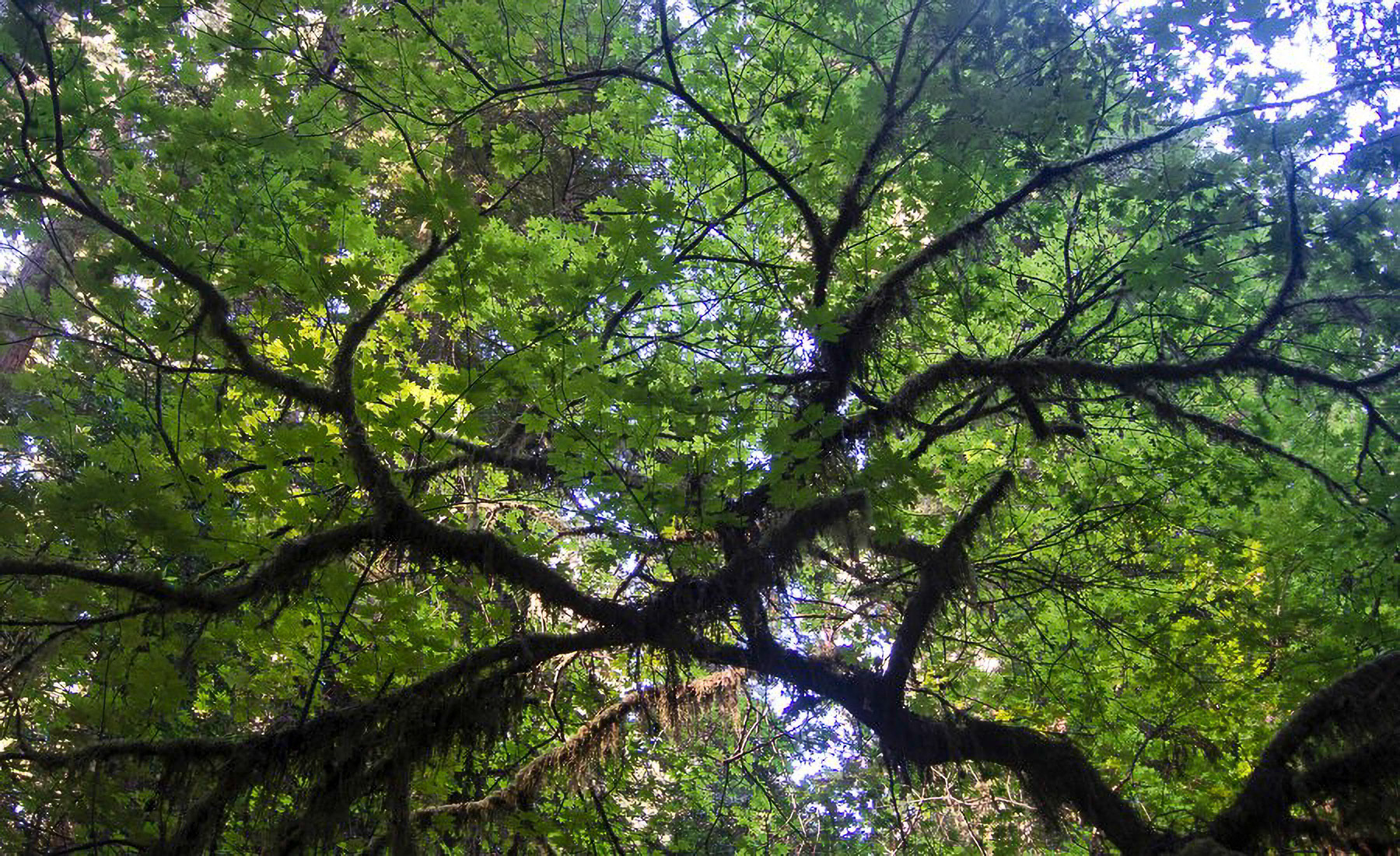 US 2013 Nature-4976