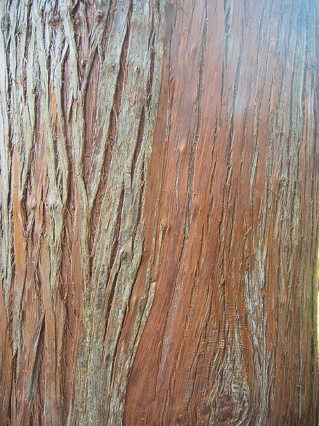 US 2013 Nature-5380