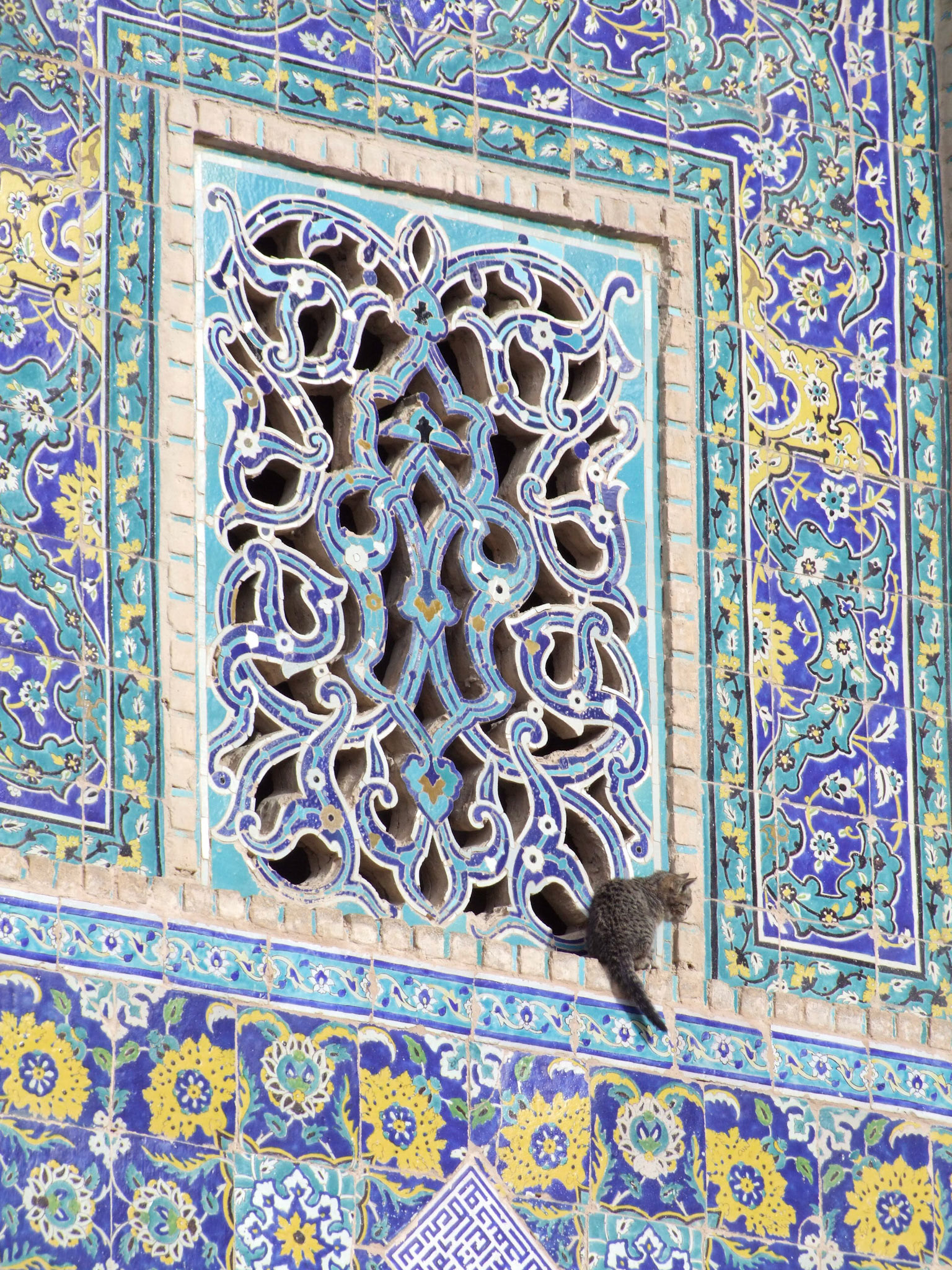 G013 BB ESF DSCF6618