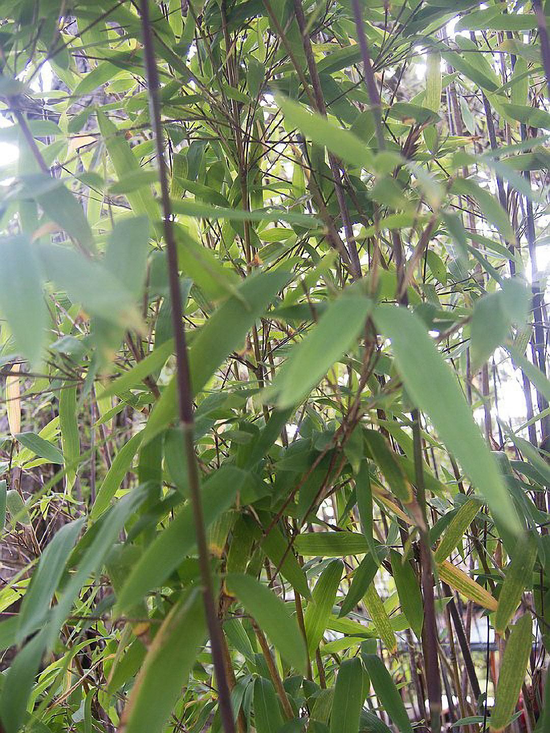 US 2013 Nature-5335