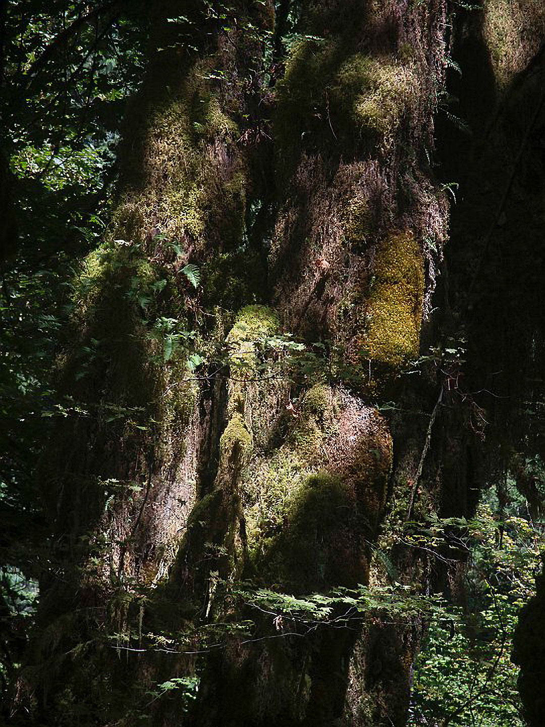 US 2013 Nature-4042