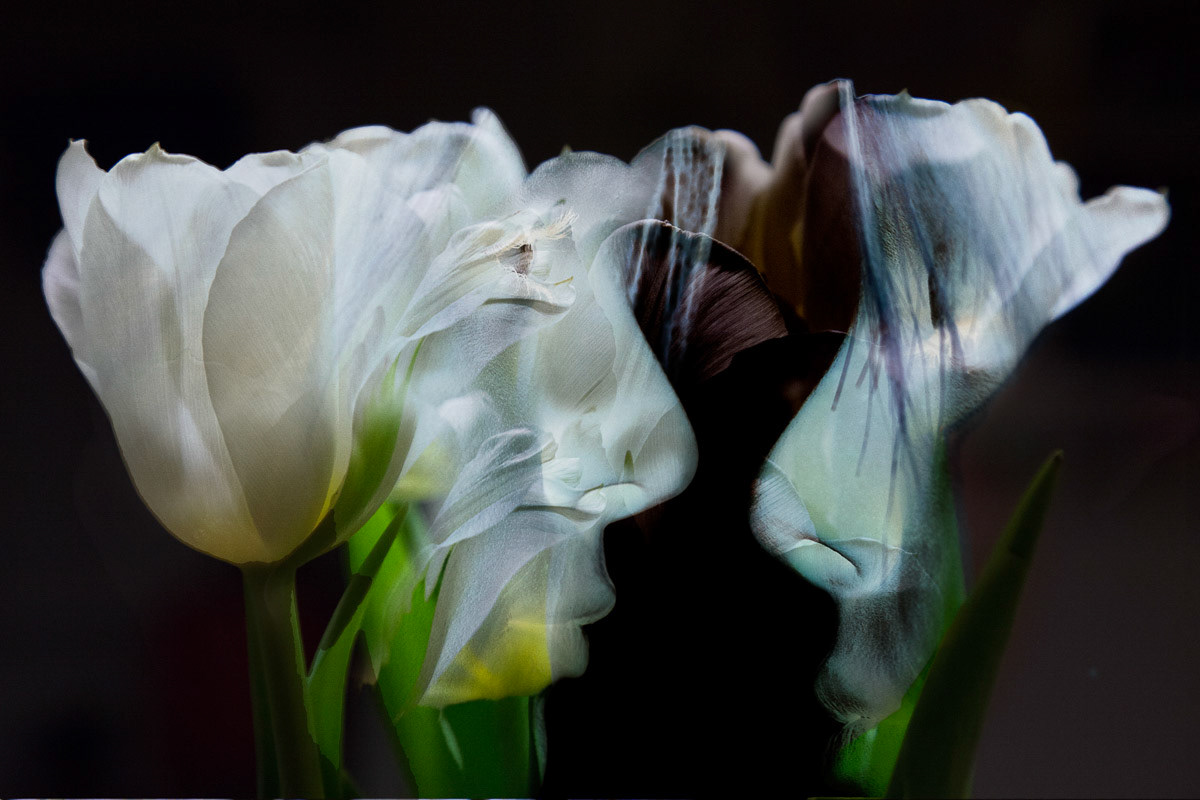 _MG_0460-Edit6