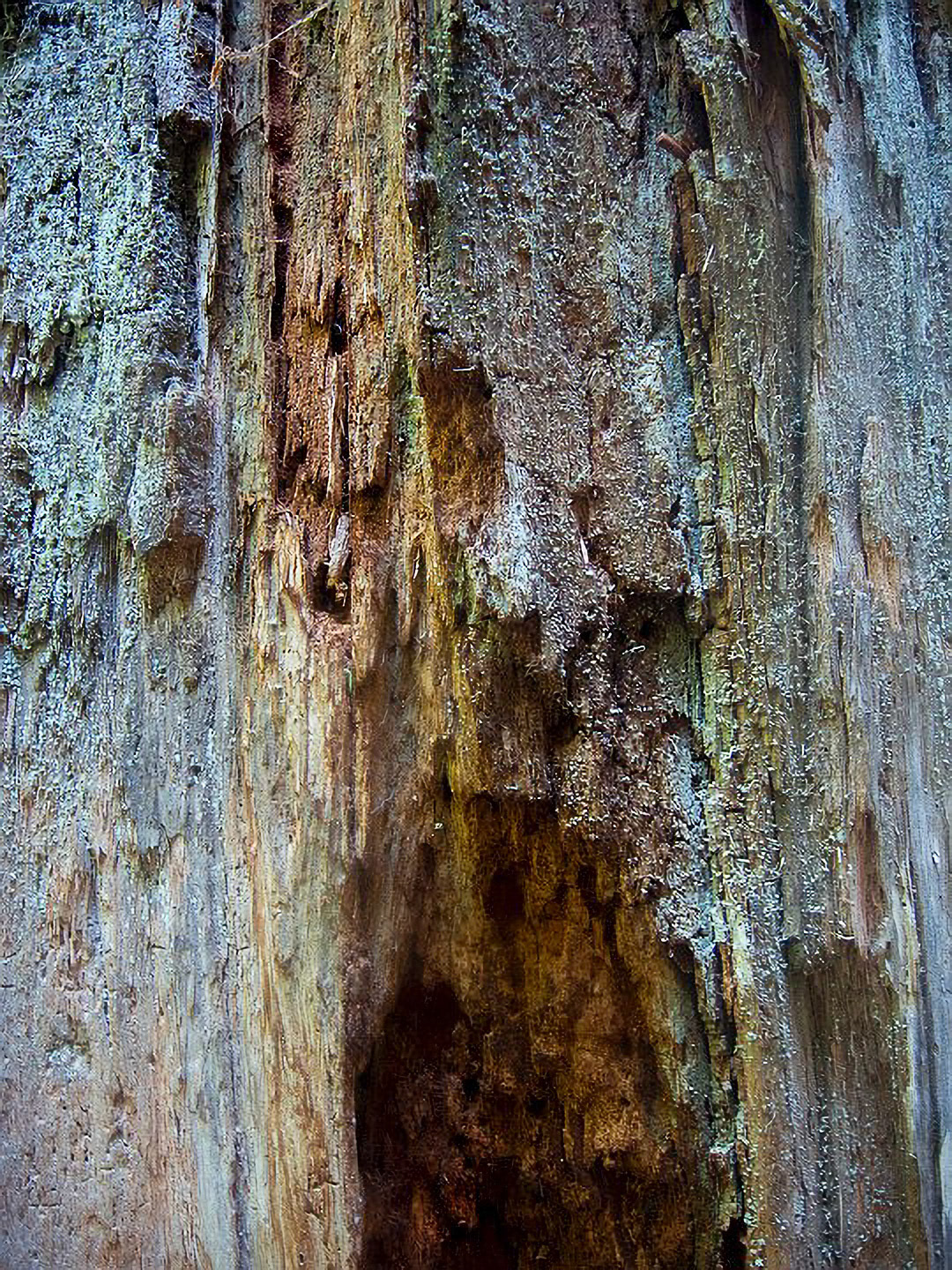 US 2013 Nature-3617