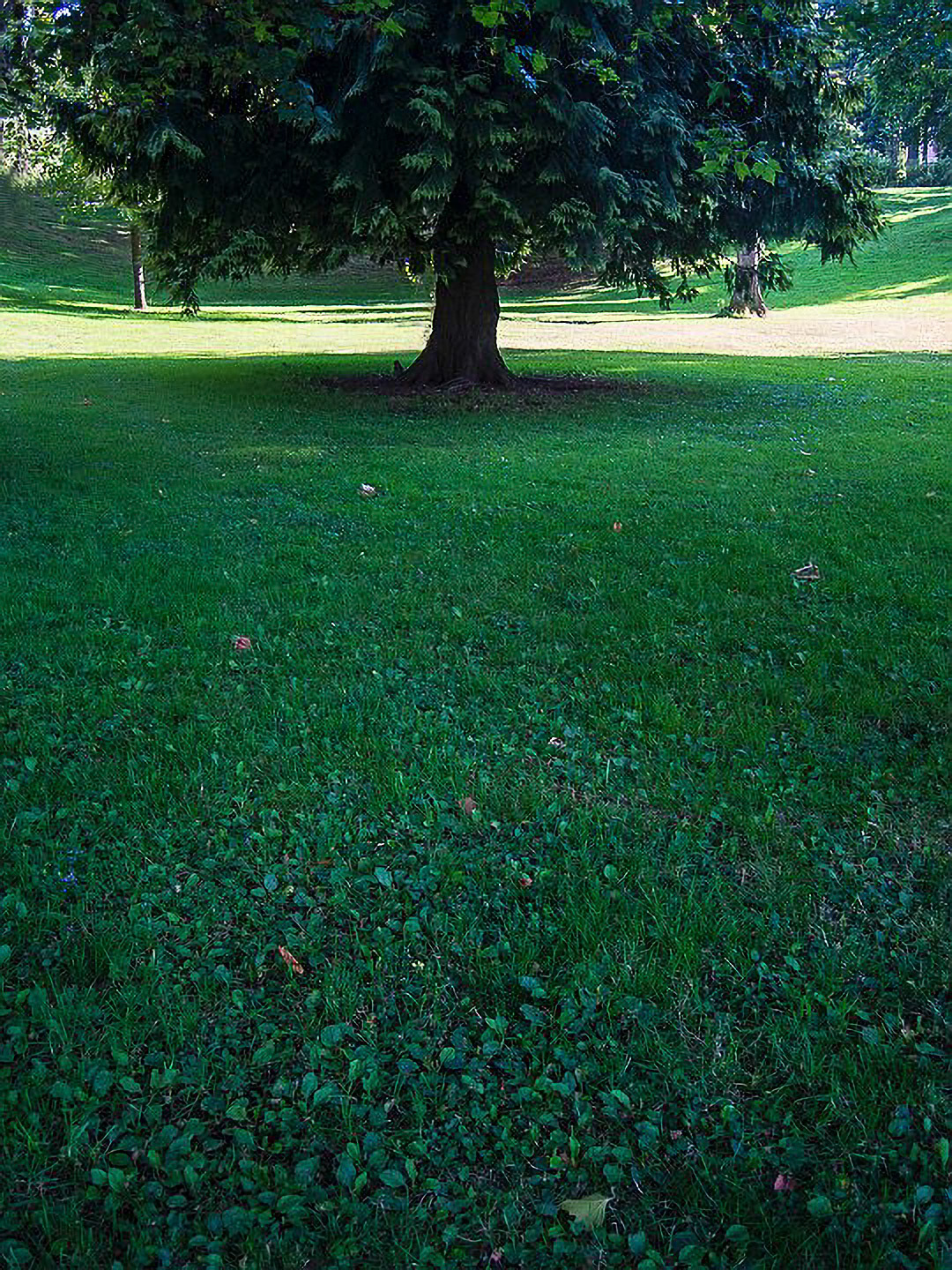 US 2013 Nature--6