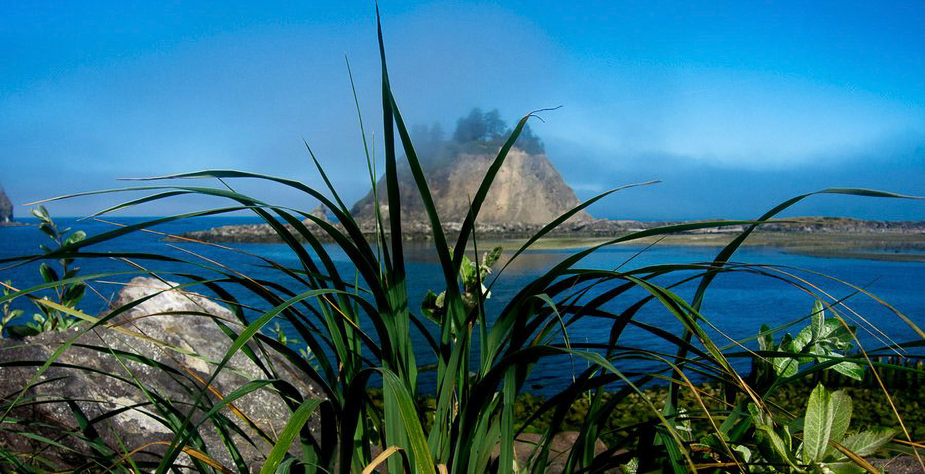 US 2013 Nature--25
