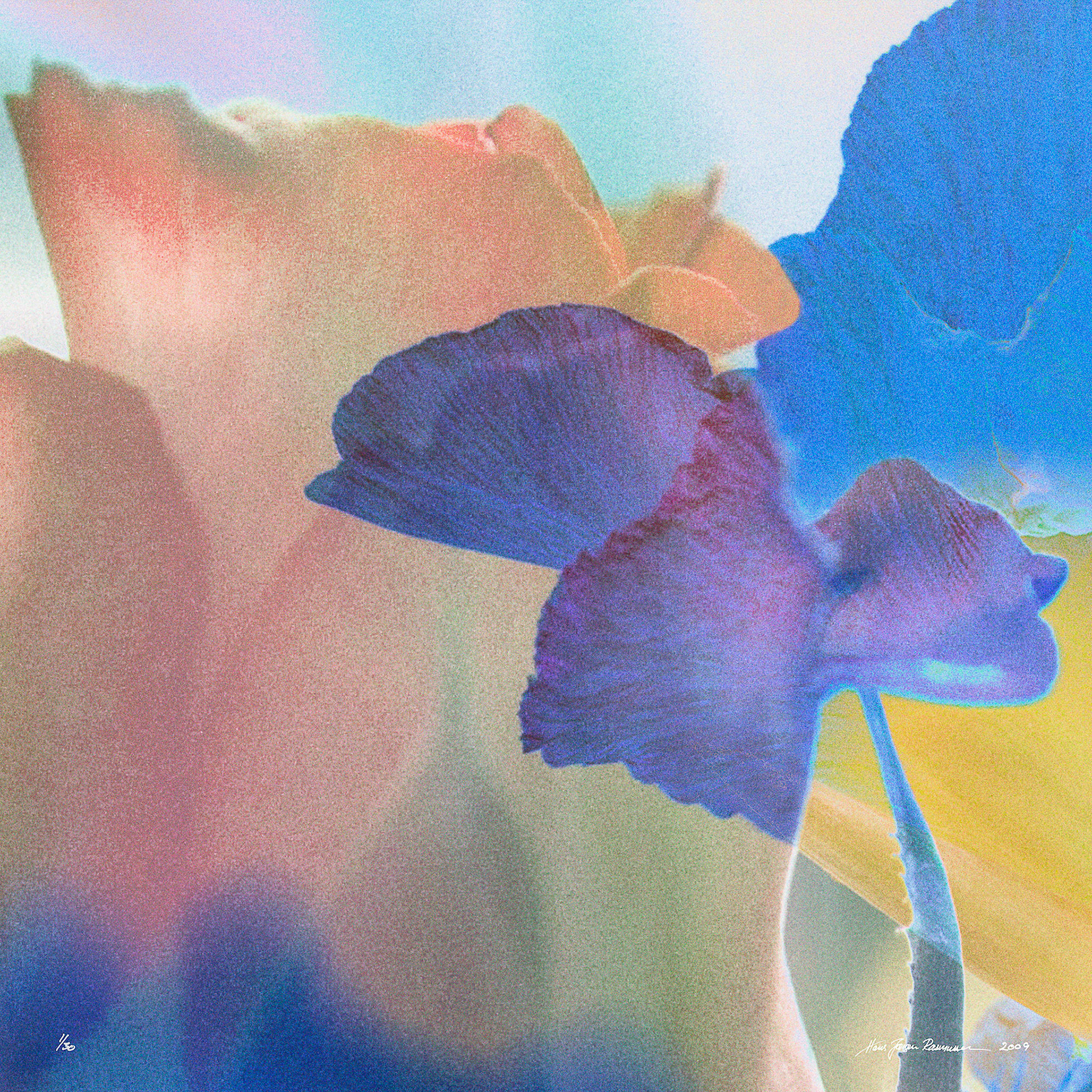 69 Blomsterpoesi 2-83