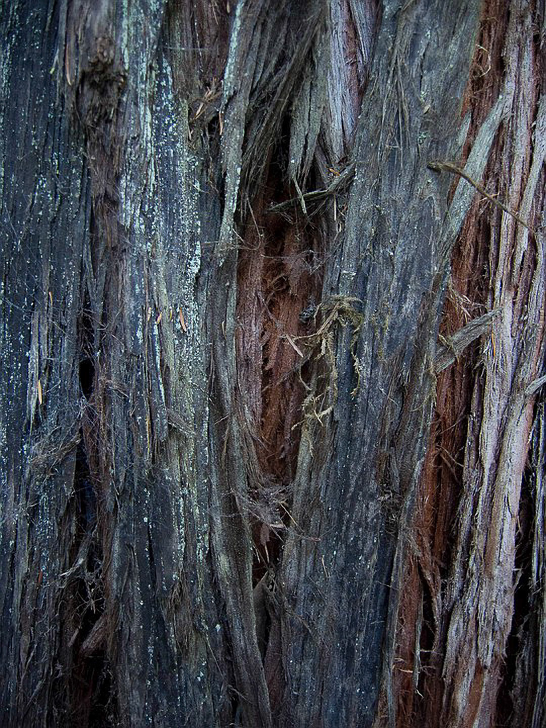 US 2013 Nature-4930