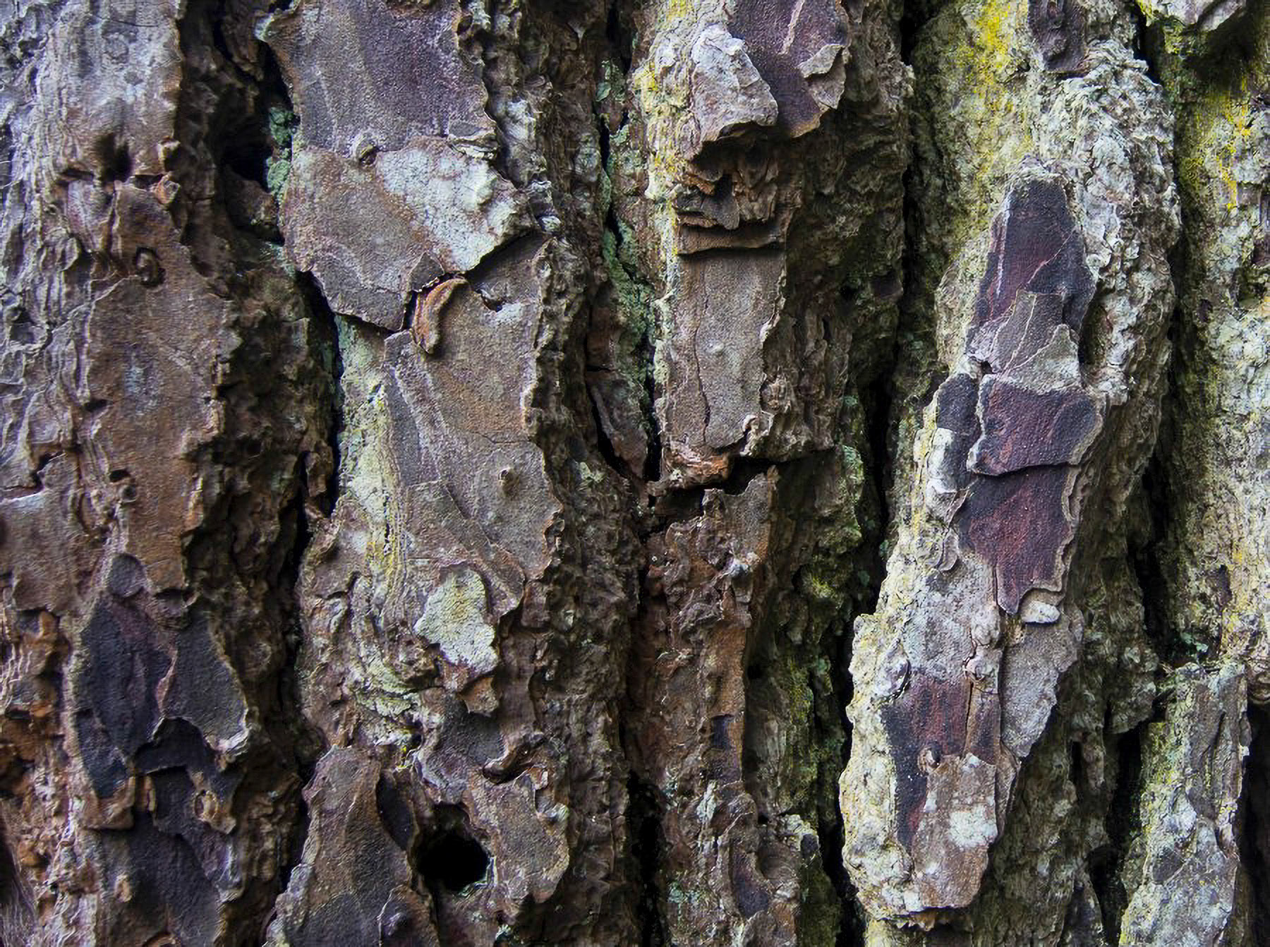 US 2013 Nature-5369