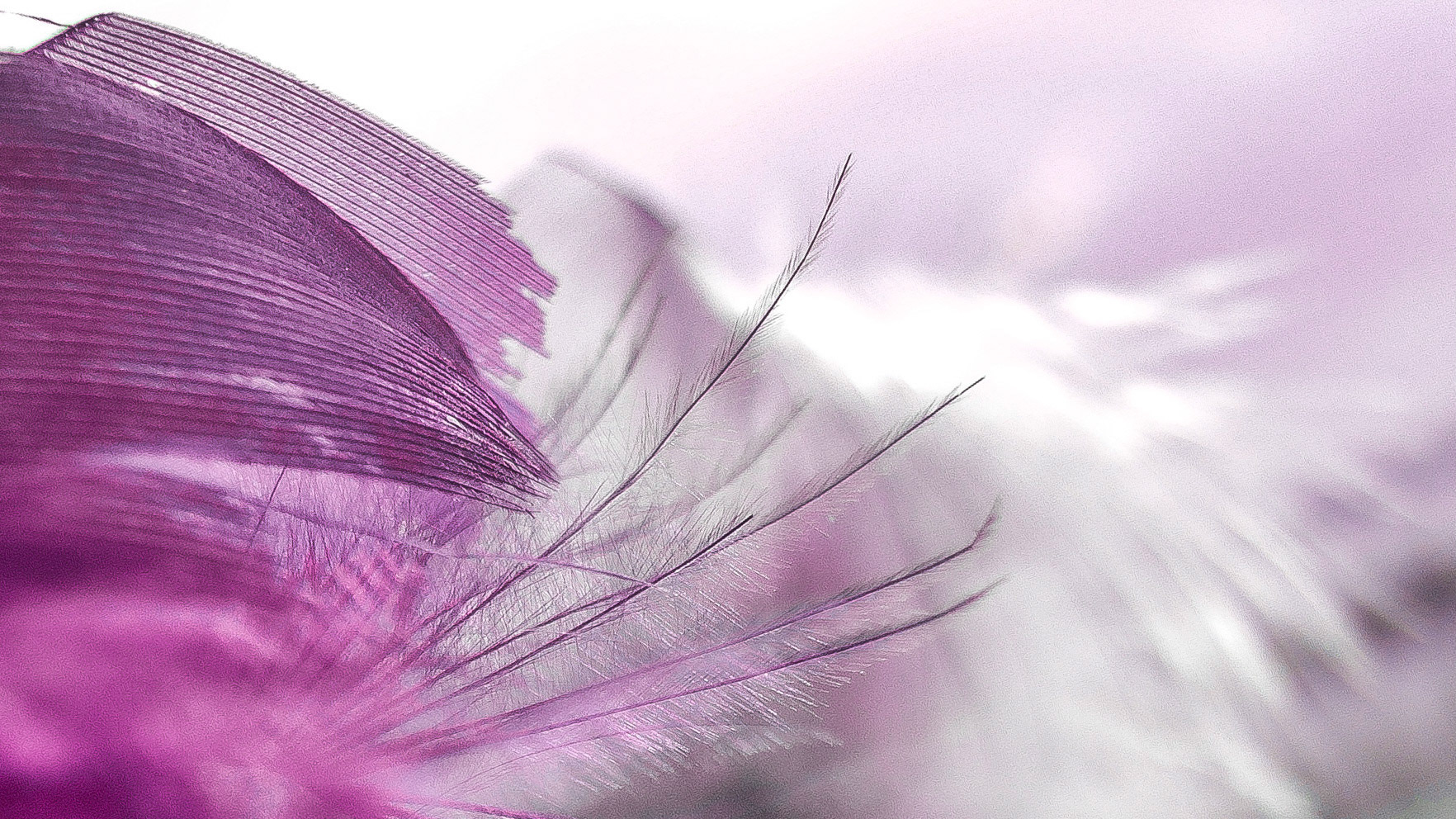 Feathering shapes 1
