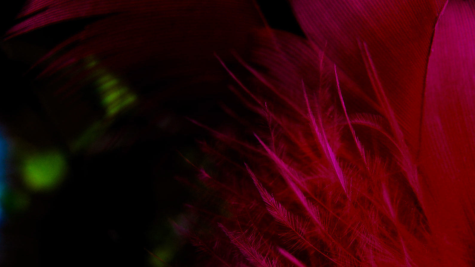 Feathering shapes 12