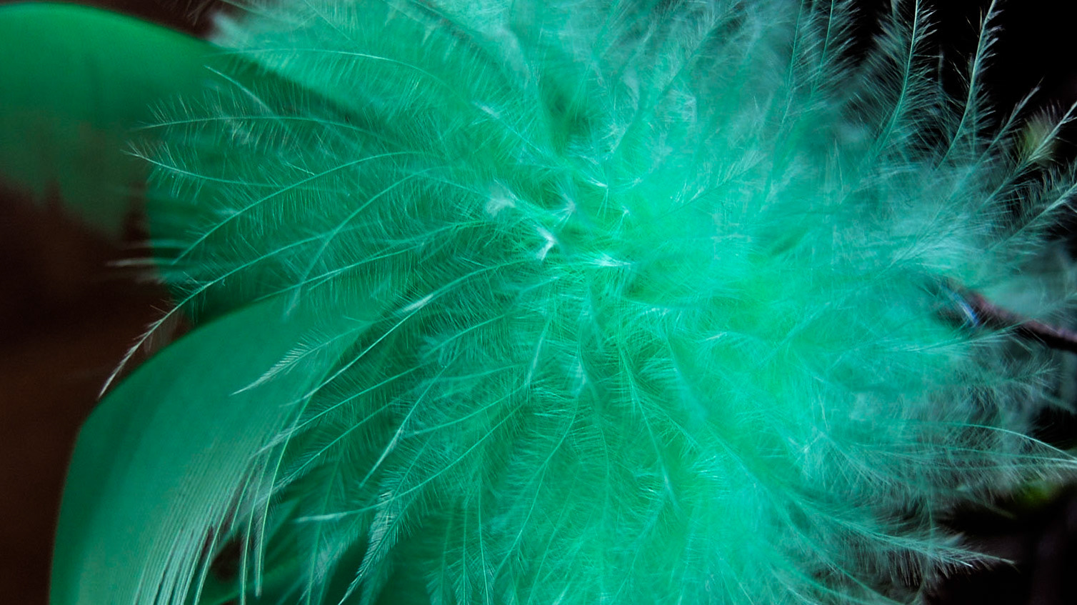 Feathering shapes 2