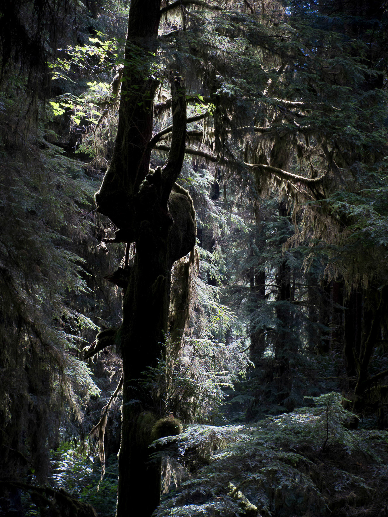 US 2013 Nature-5016