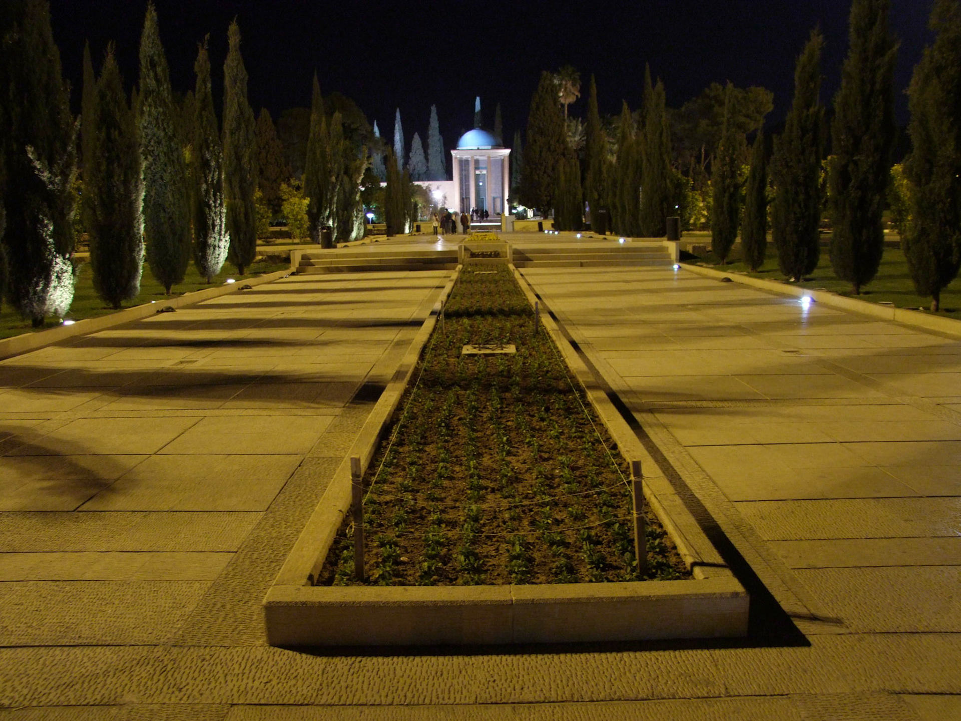 G062 GG  HAFKOLL DSCF7412