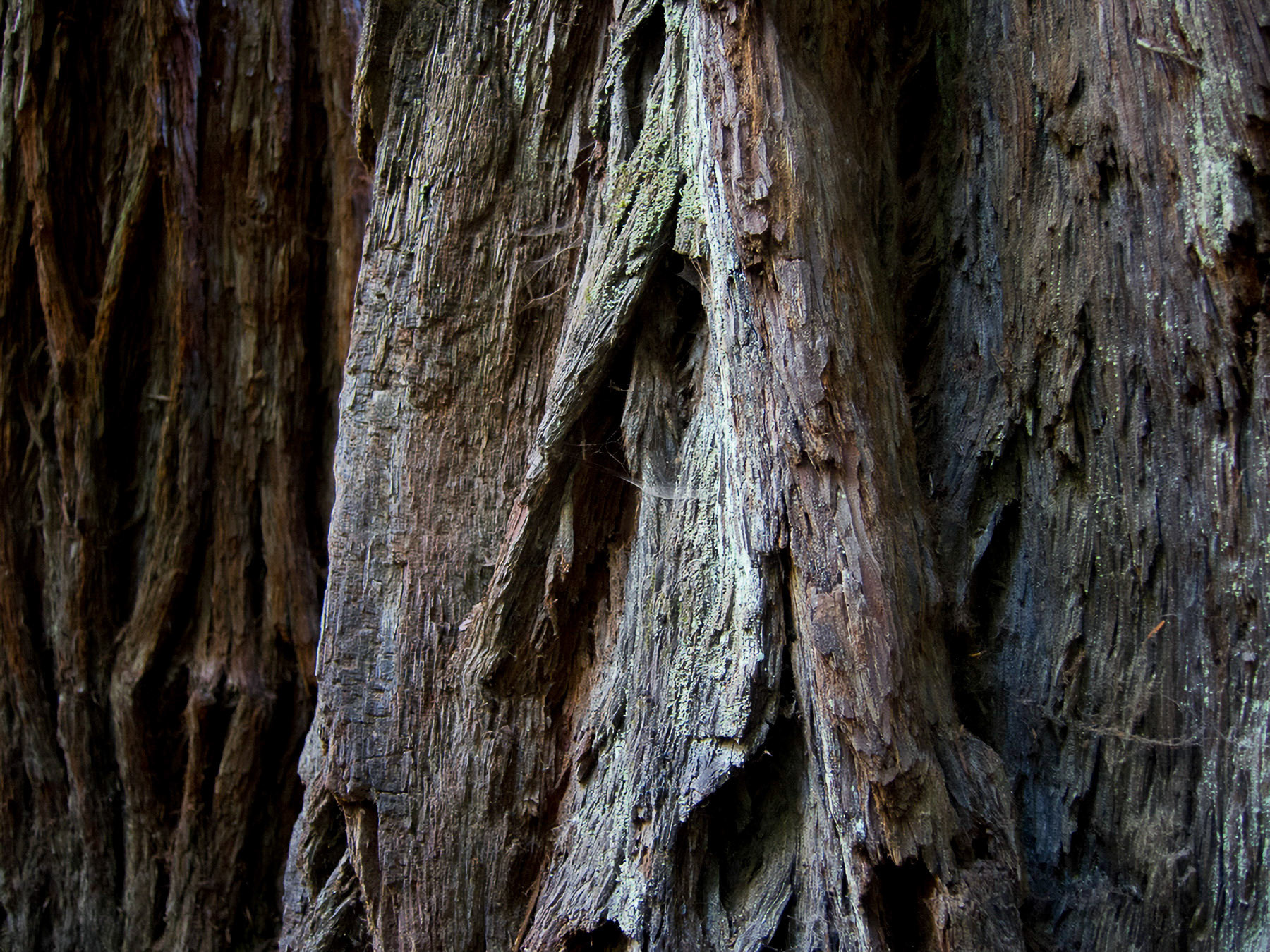 US 2013 Nature-4941