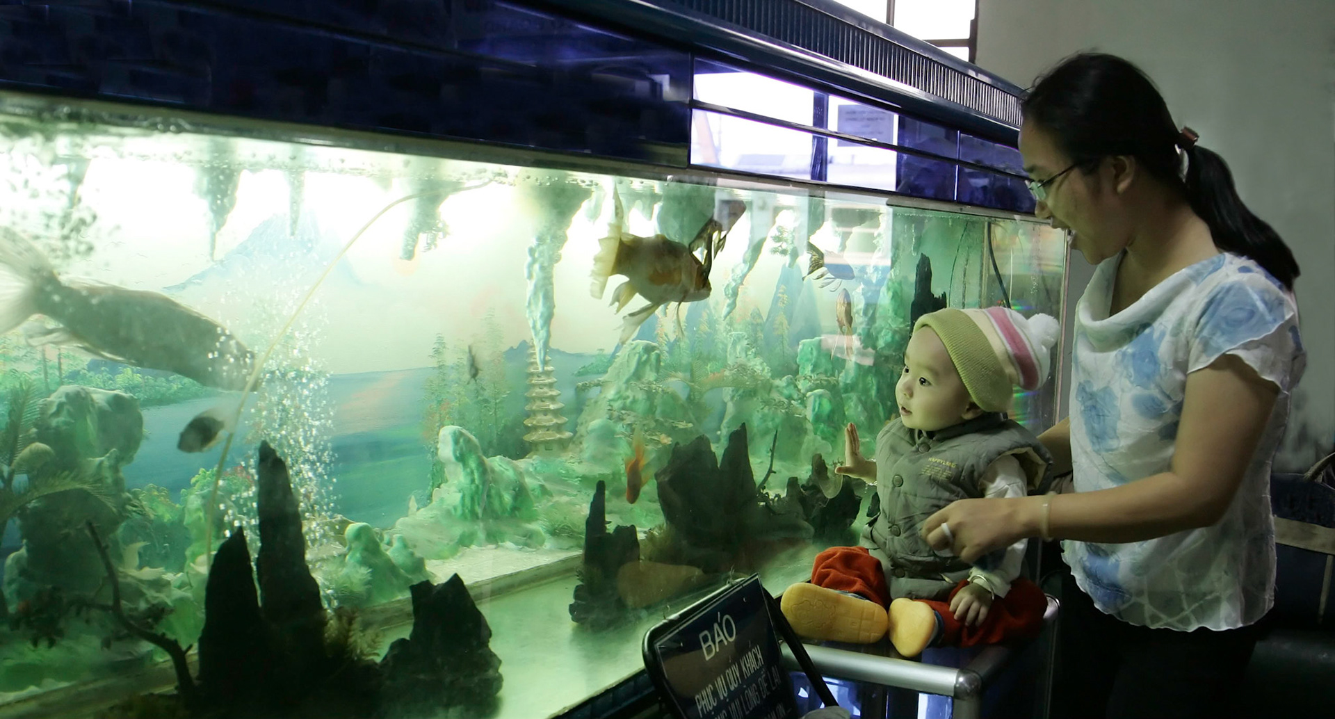 HS4B4000_filtered_sharpened_crop2ny