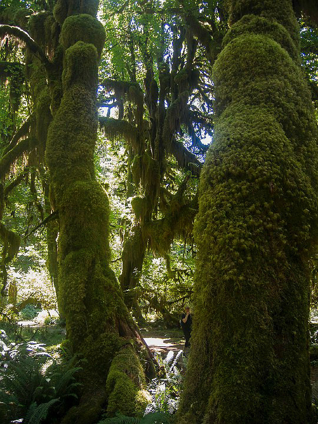 US 2013 Nature-4065