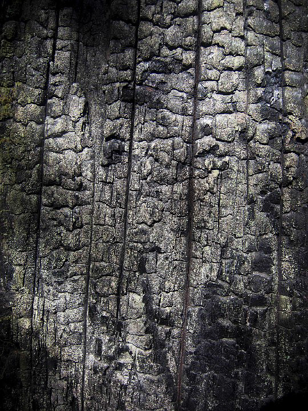 US 2013 Nature-4962
