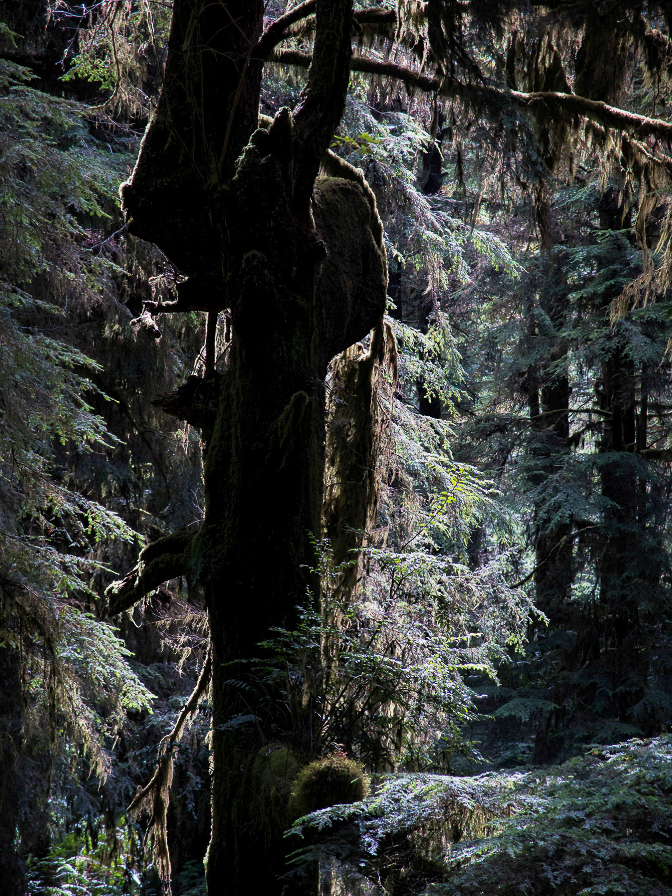 US 2013 Nature--18