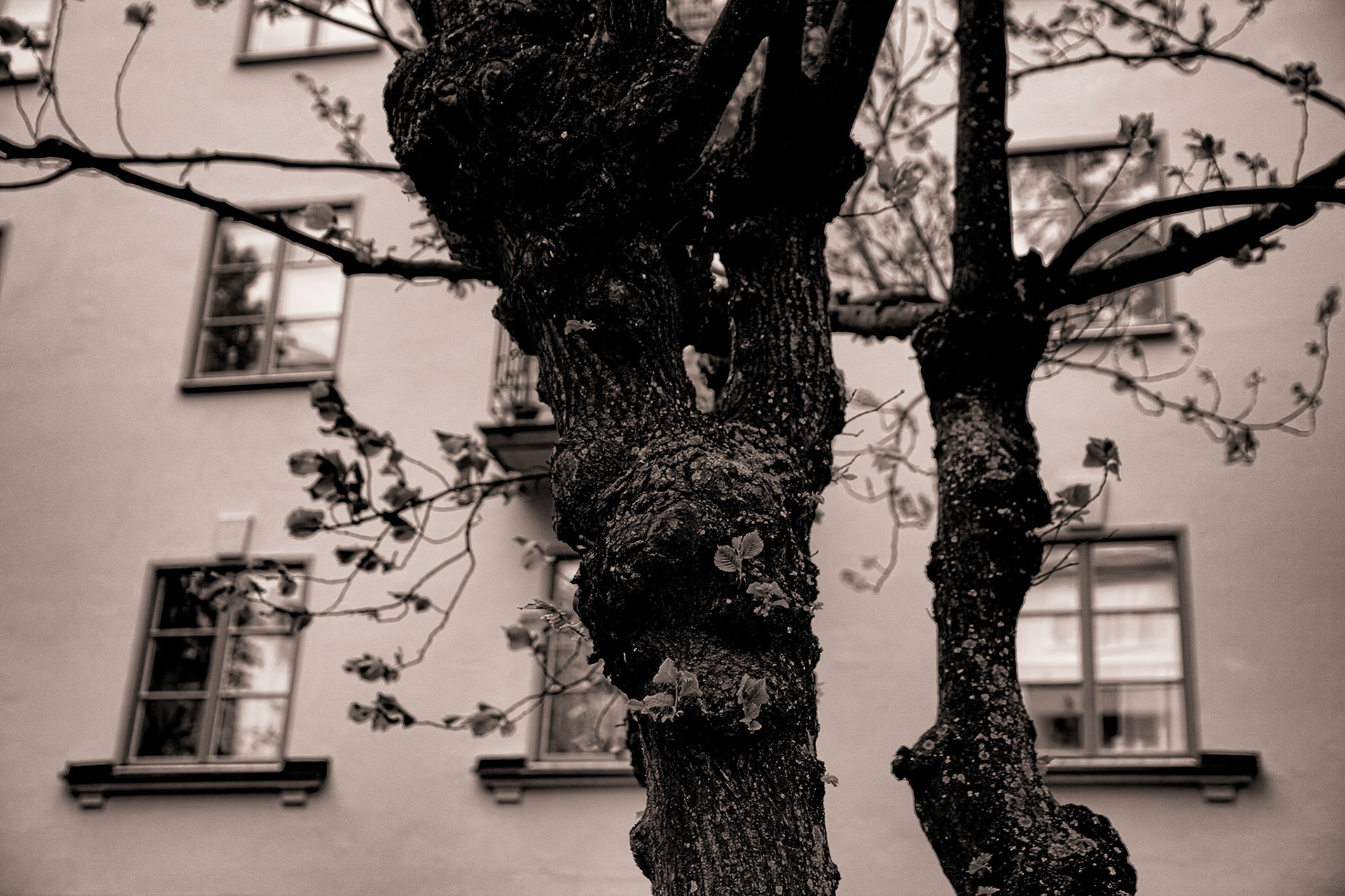 Stockholm_MG_5078-Edit