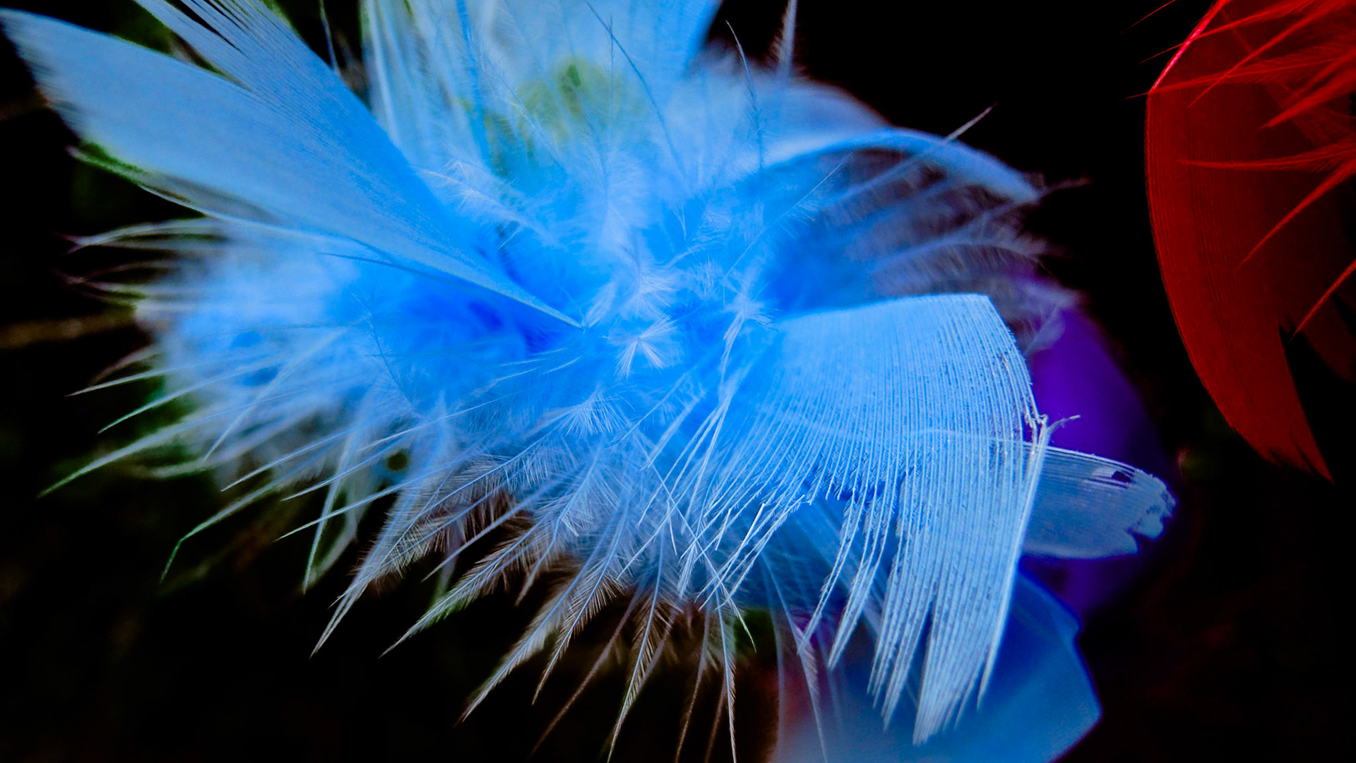 Feathering shapes 8