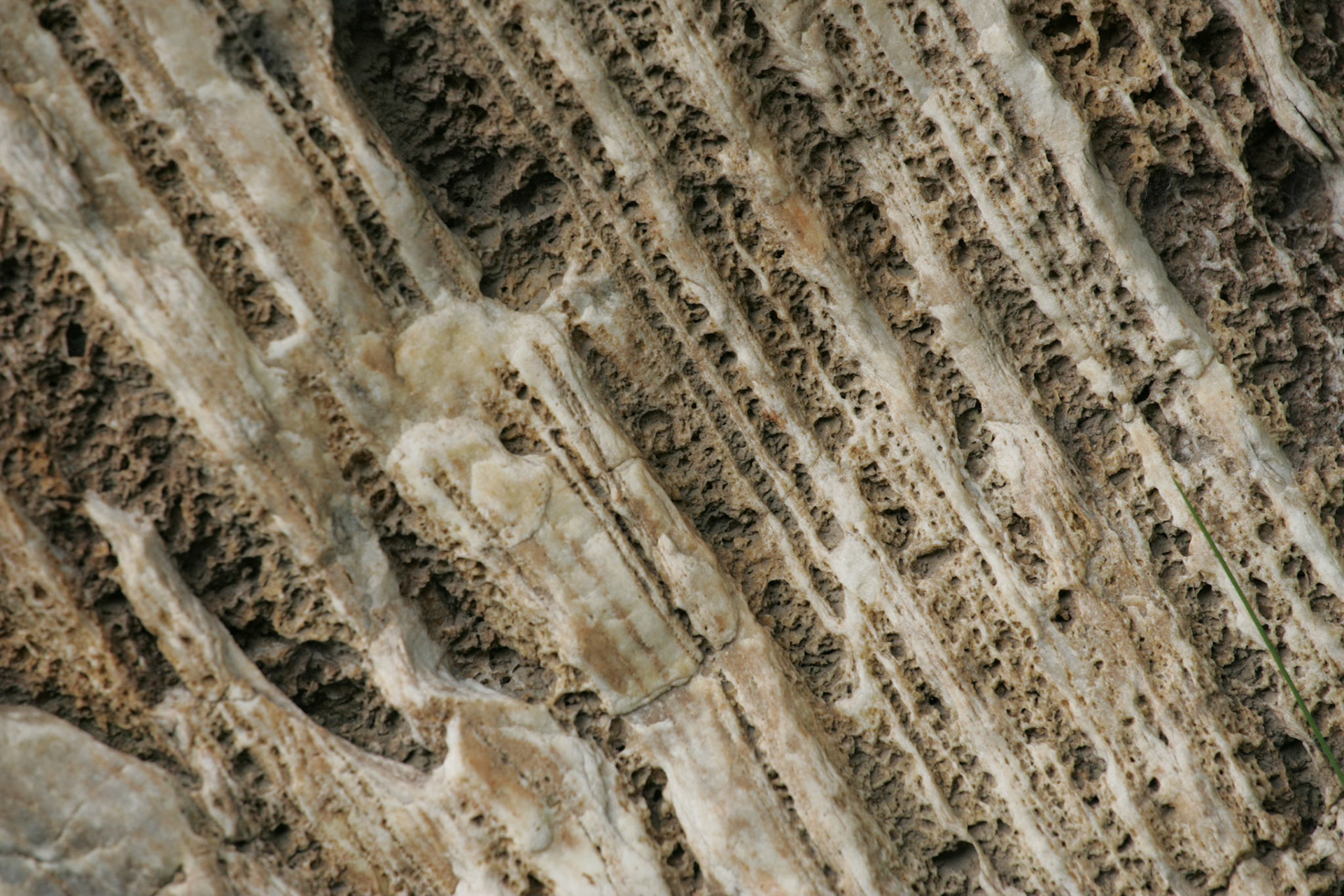 Structure 15 HS4B9767