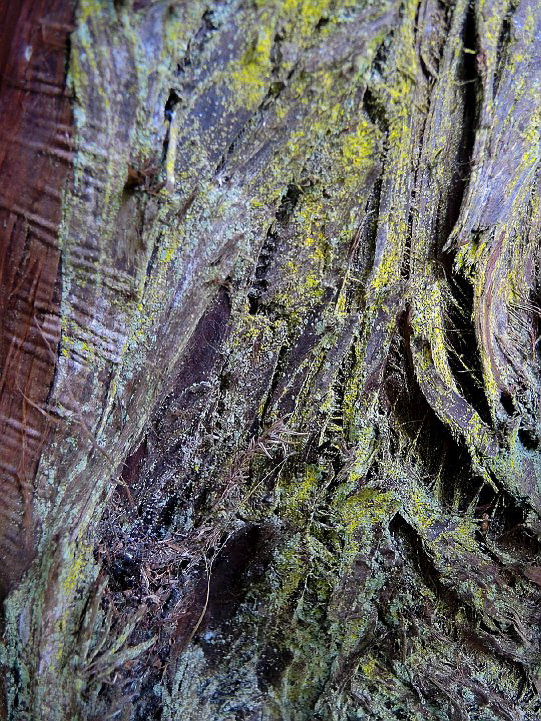 US 2013 Nature-5386