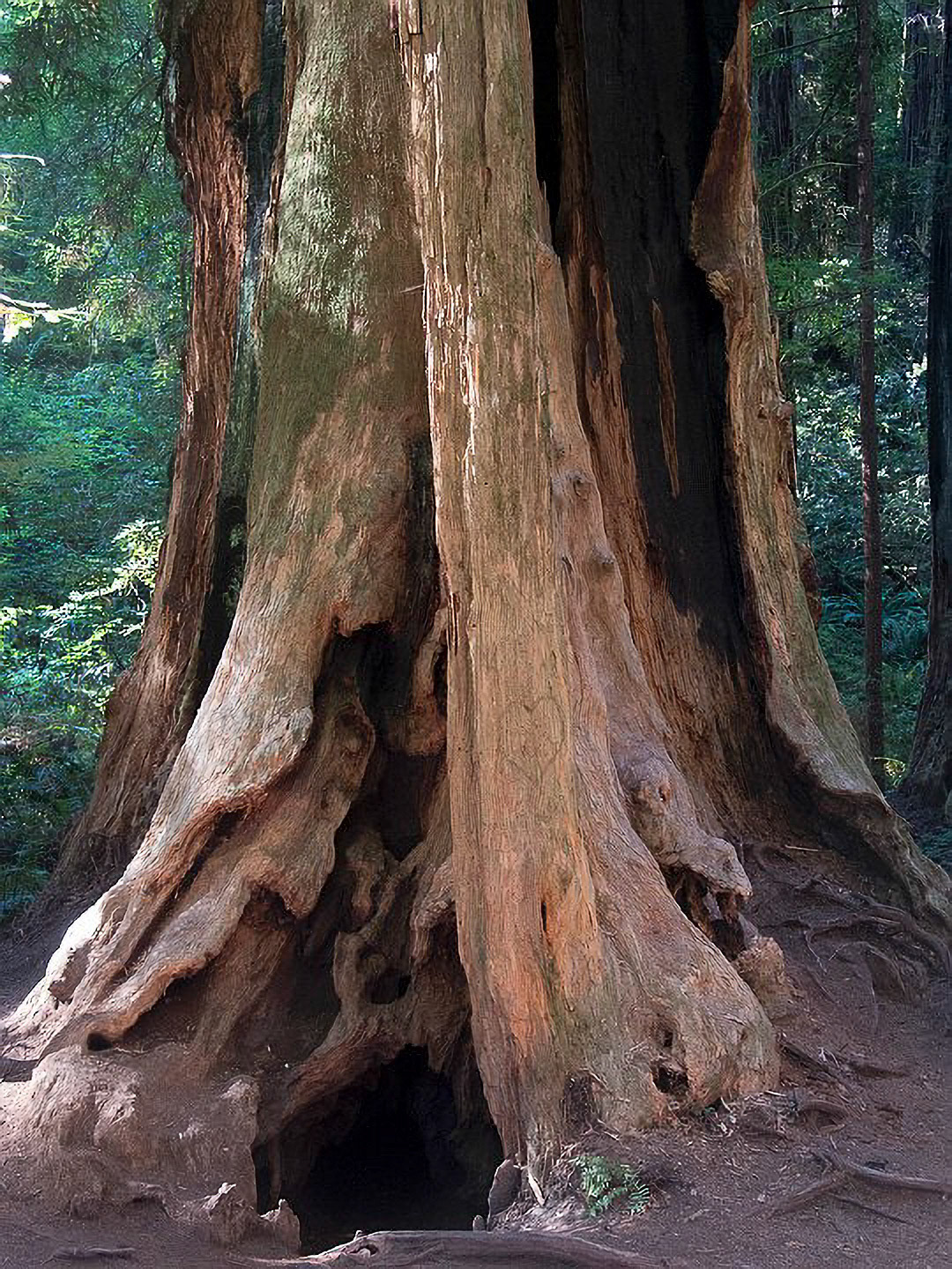 US 2013 Nature-4996
