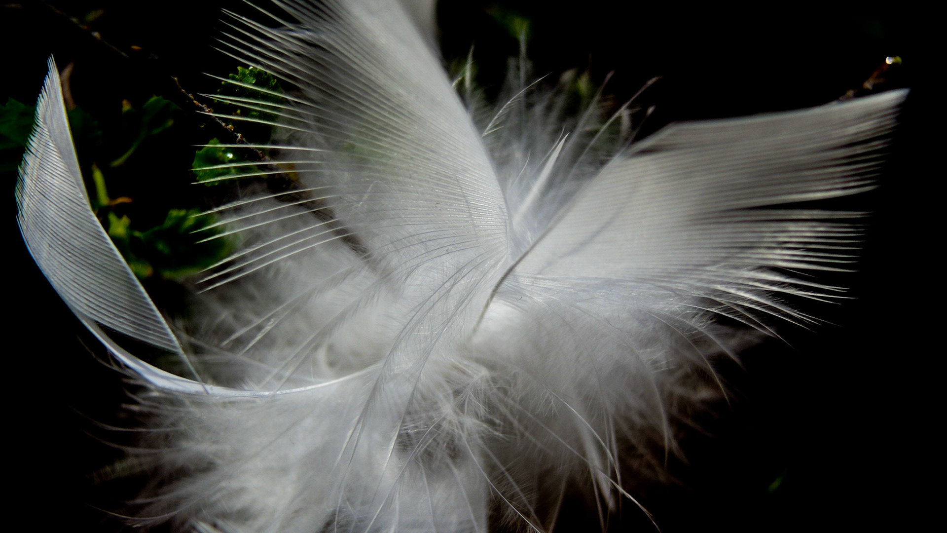Feathering shapes 9