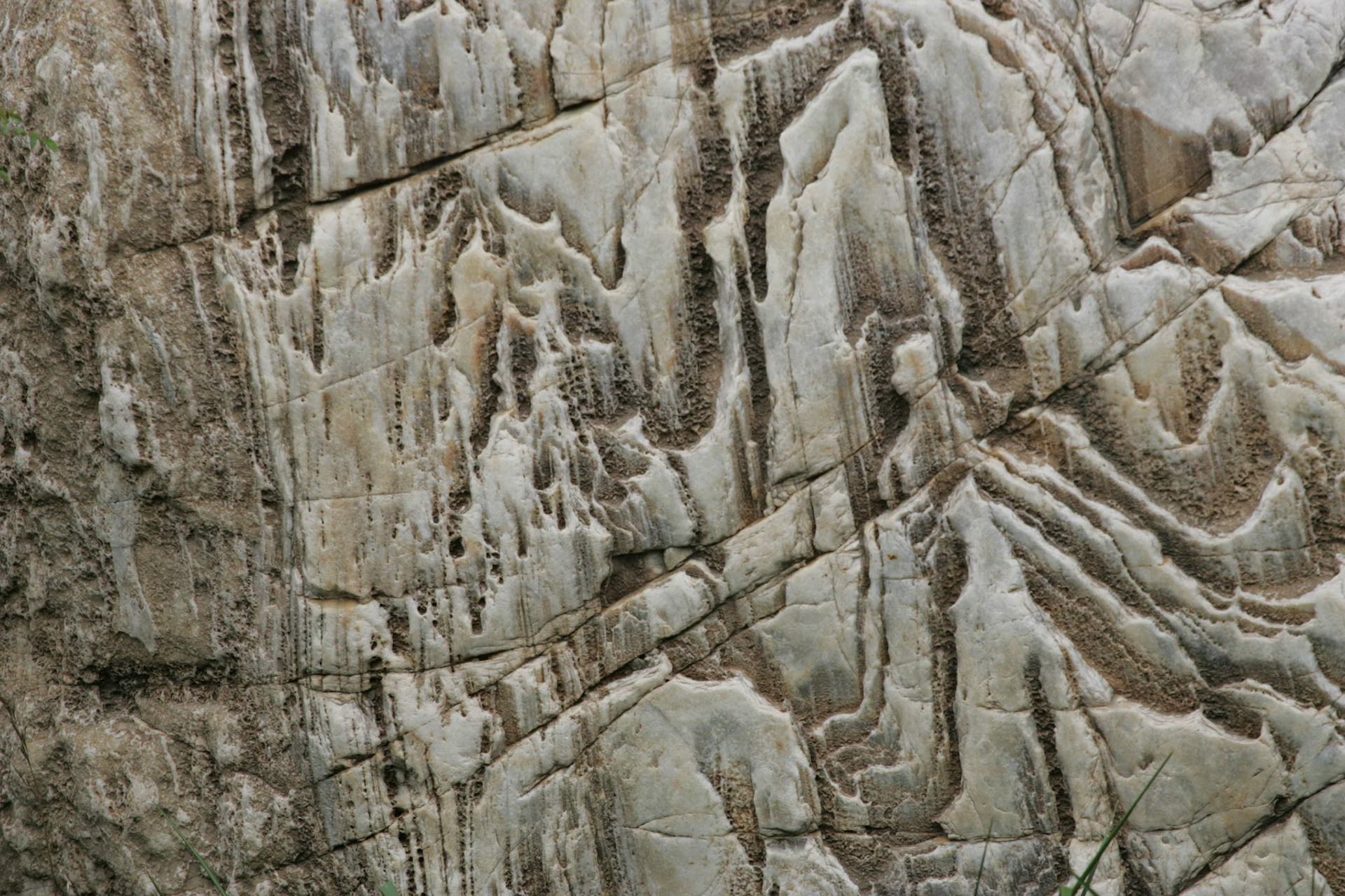 Structure 14 HS4B9766