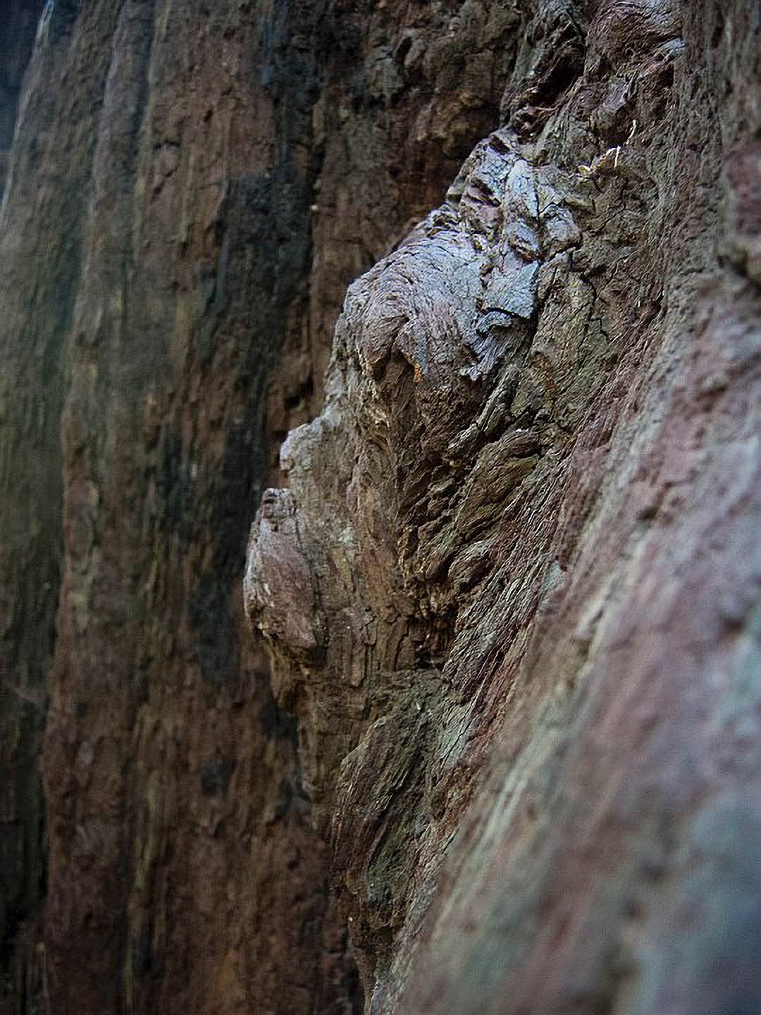 US 2013 Nature-4960