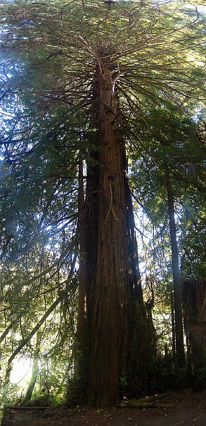 US 2013 Nature--7