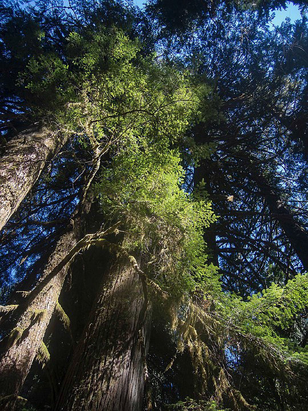 US 2013 Nature-3667
