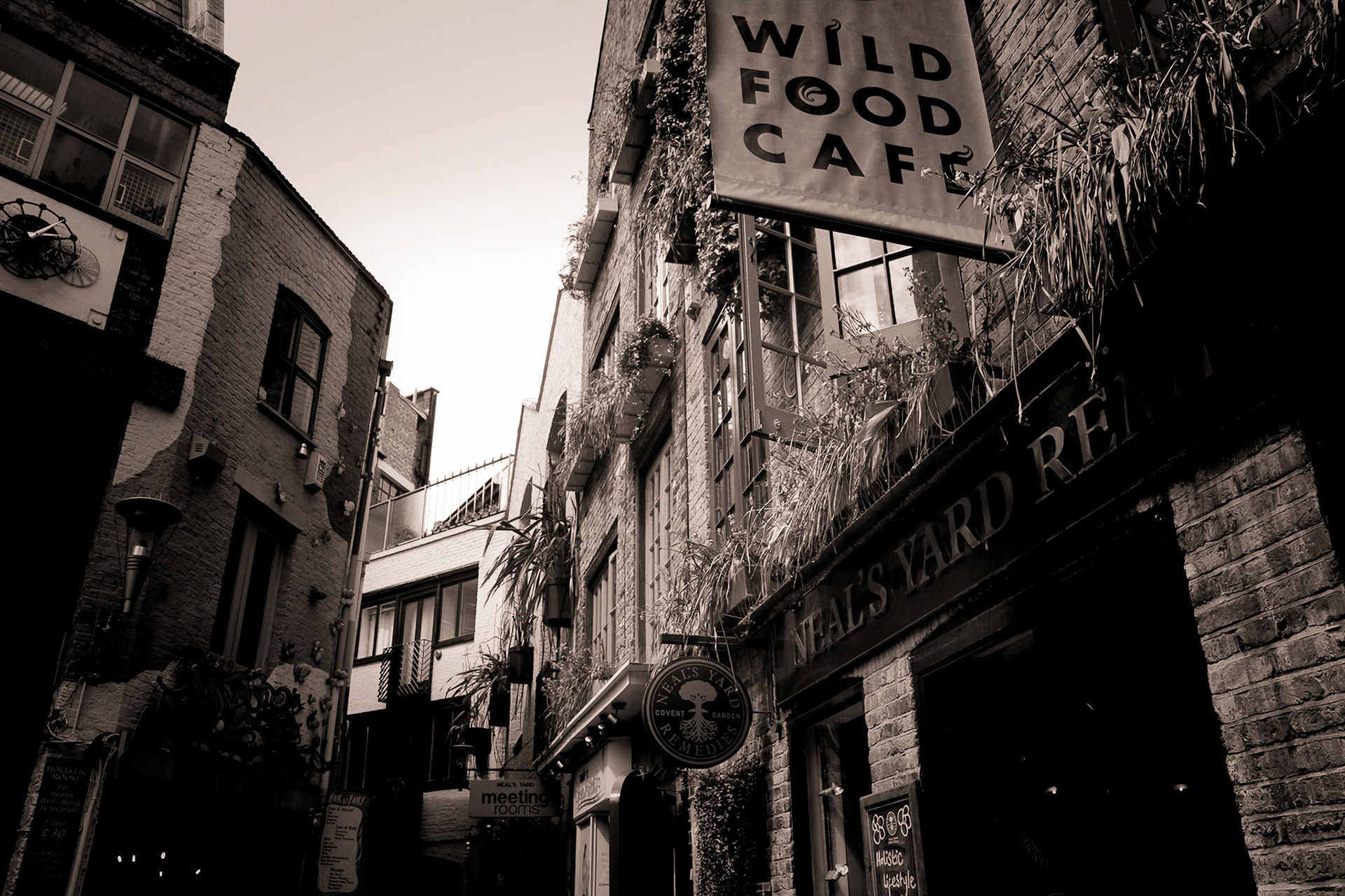 London _MG_7596-Edit-Edit