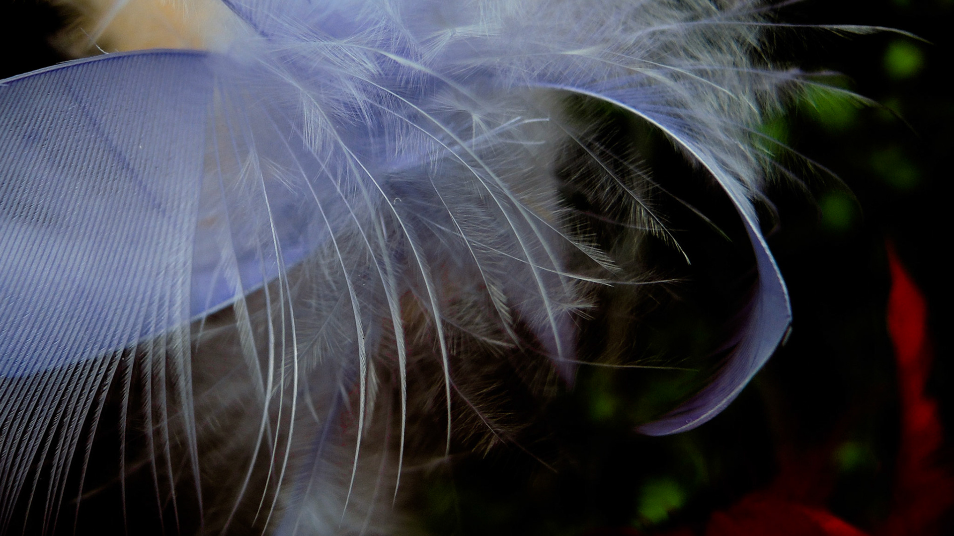 Feathering shapes 3