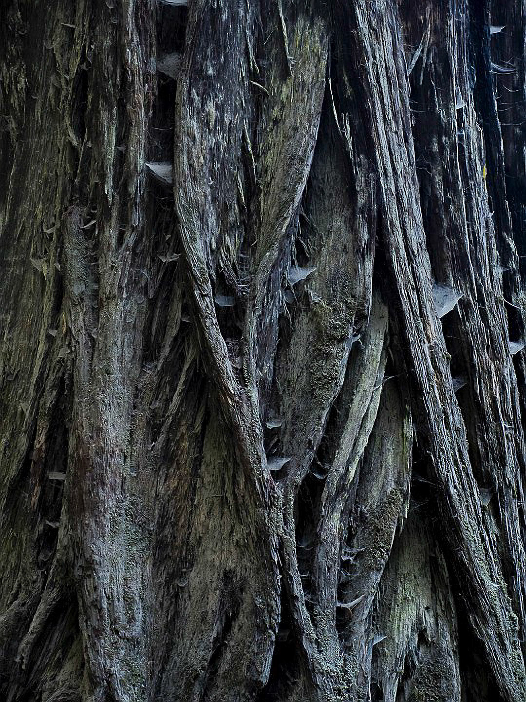 US 2013 Nature-4918
