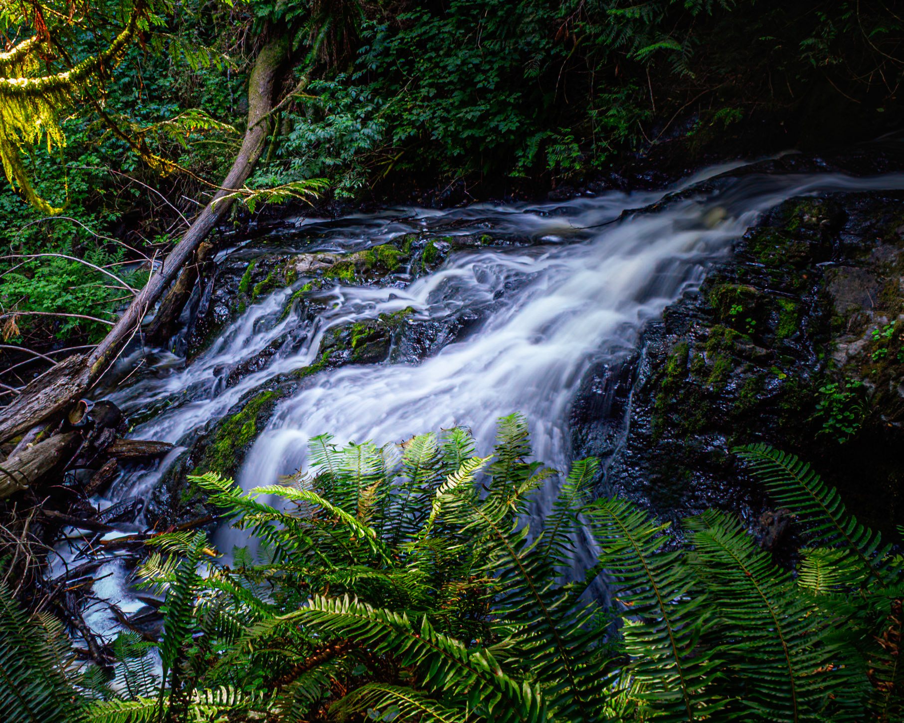 Ludlow Falls, Port Ludlow, Washington