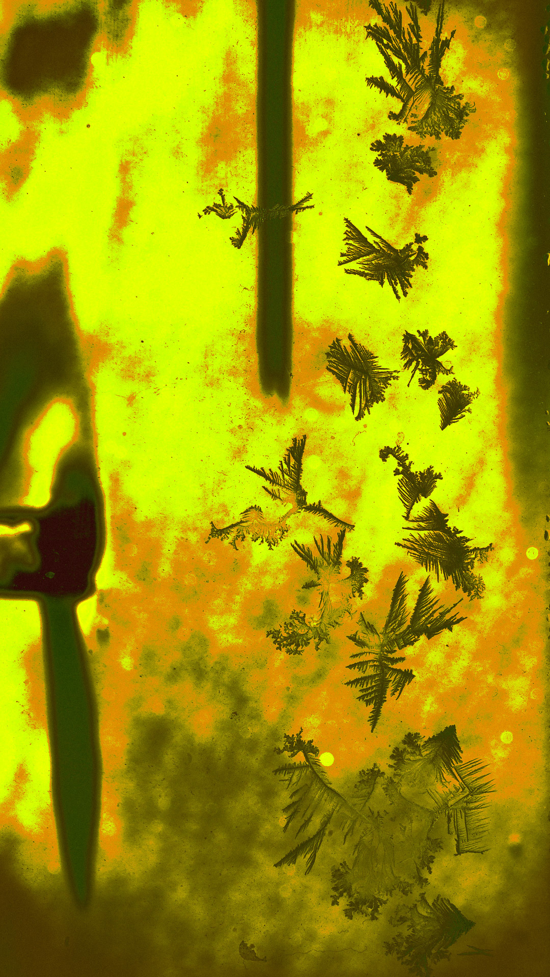 Golden Snowflake Fractals, 2022