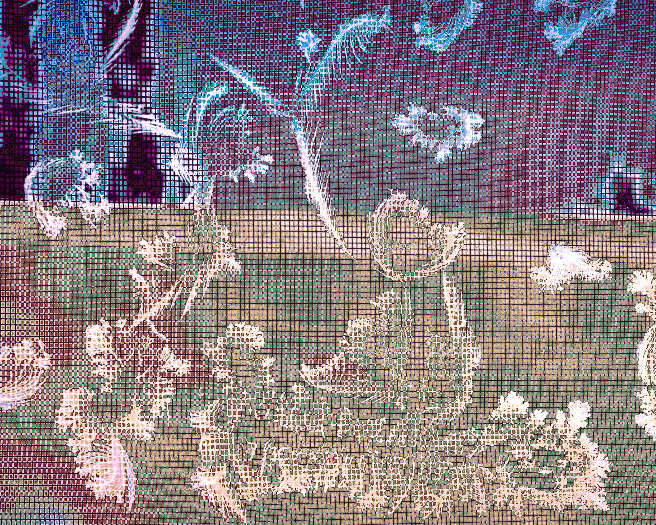 A Storytelling Traveler, 2022