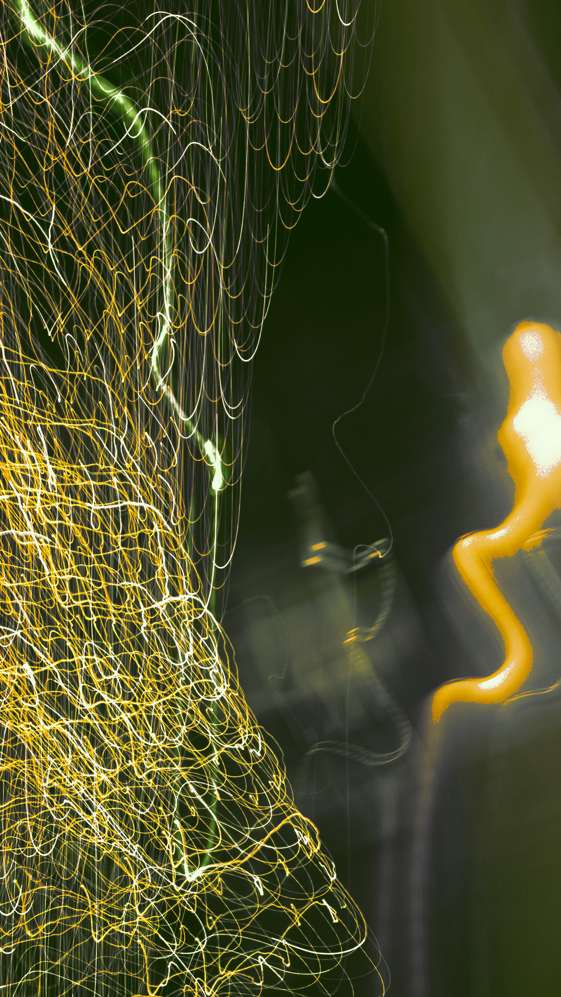 Whyte Lights Person, 2023.