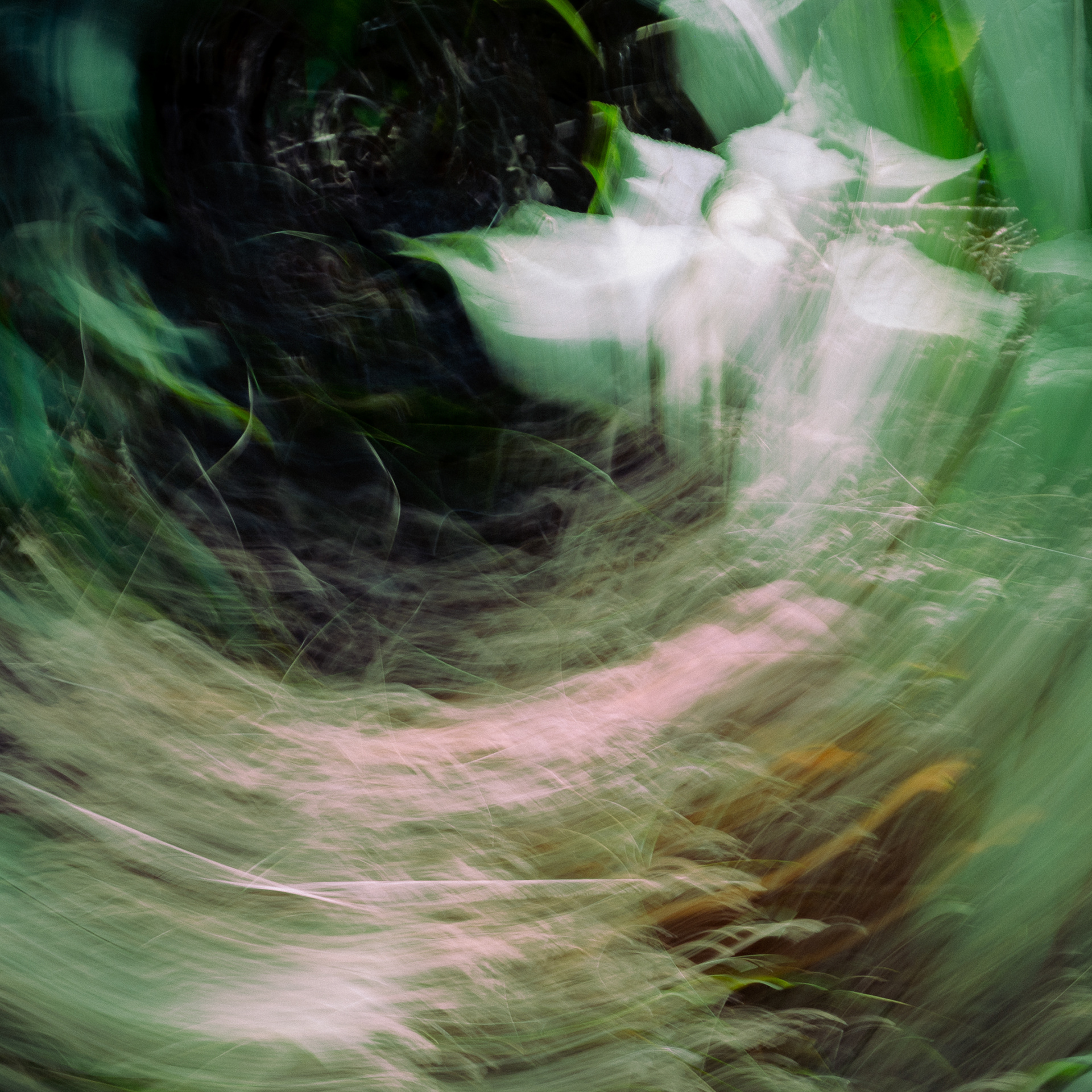 Encounter in a Valley, 2022